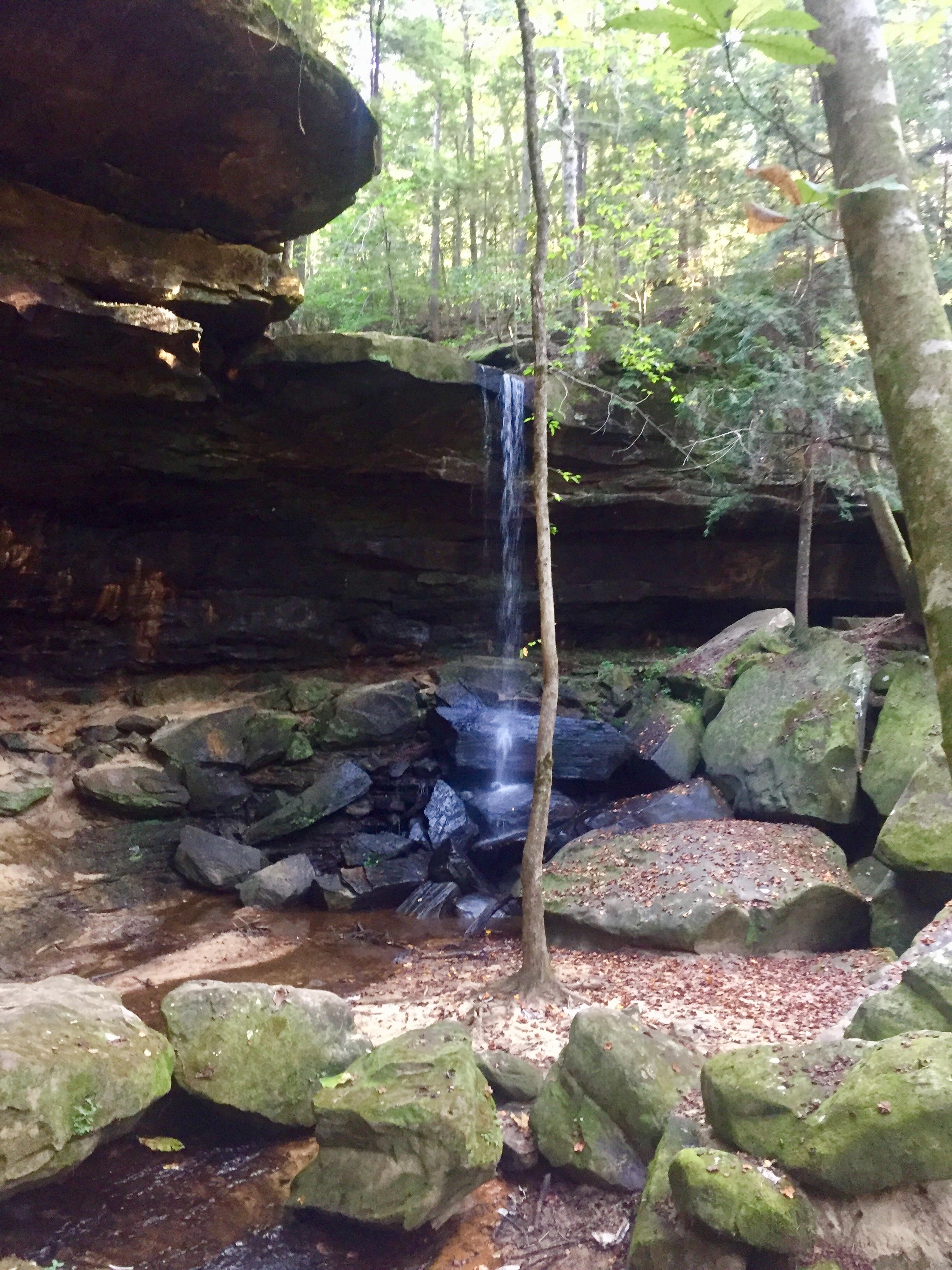Sipsey Wilderness, Alabama USA r/hiking