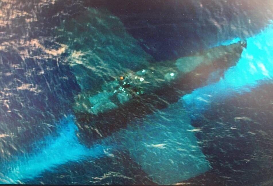 Submarine just under periscope depth [xpost /r/Submarines] r