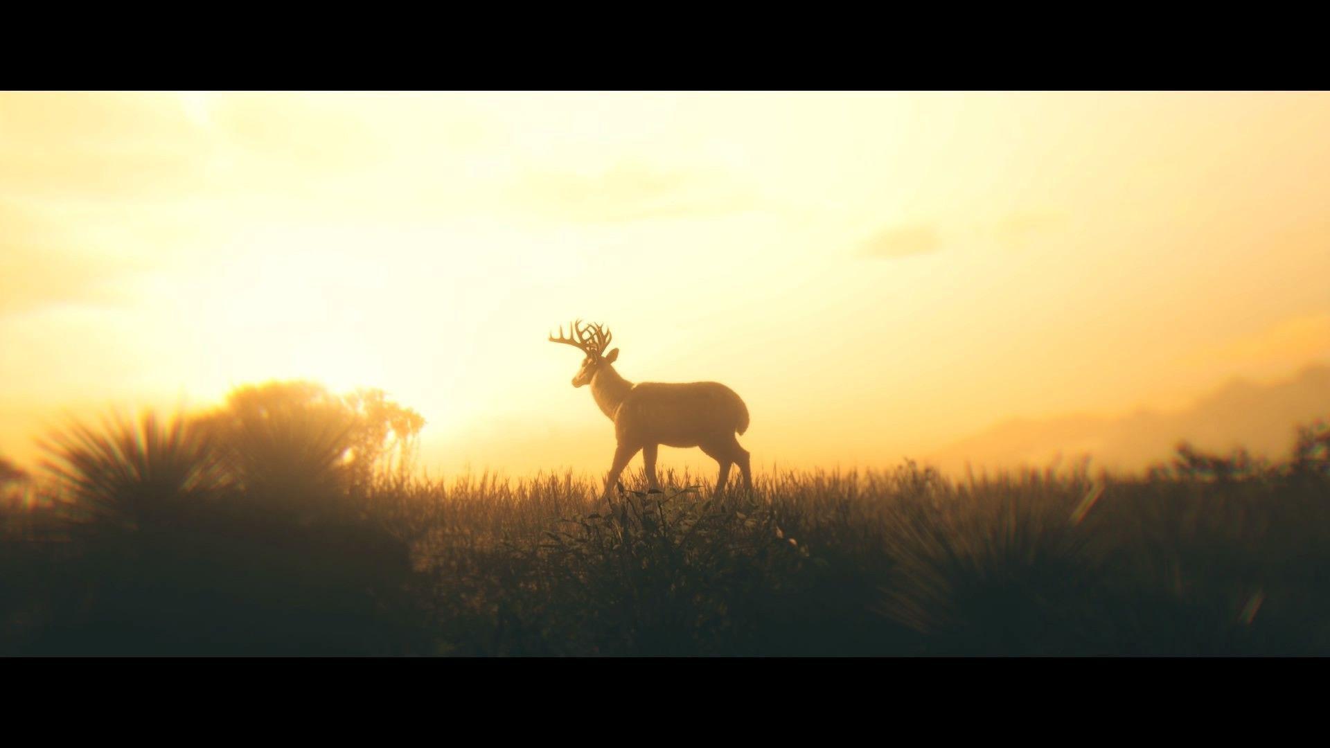 What’s up with the deer? r/RDR2