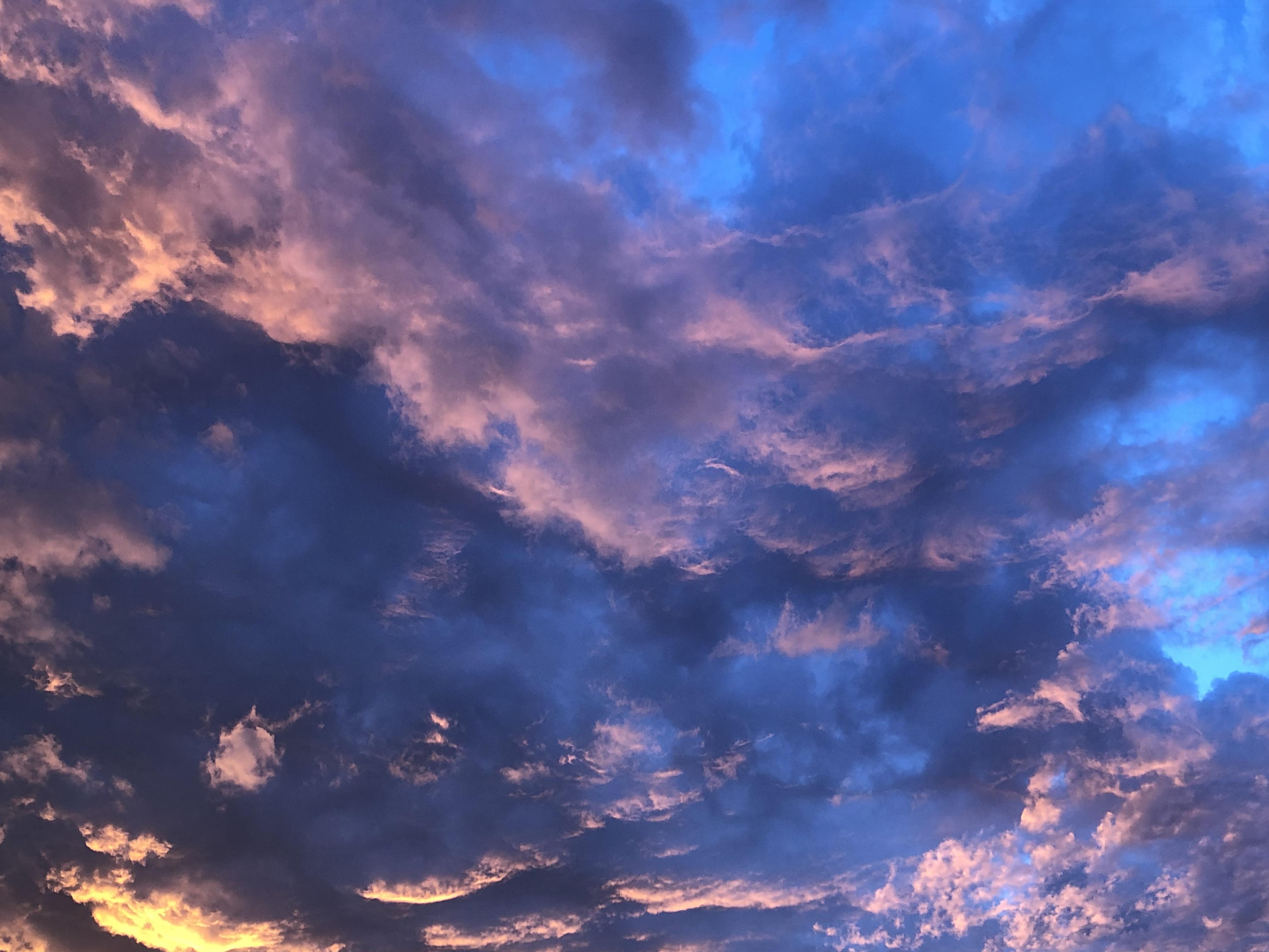 The weather in my area of Maitland NSW is very strange right now, i