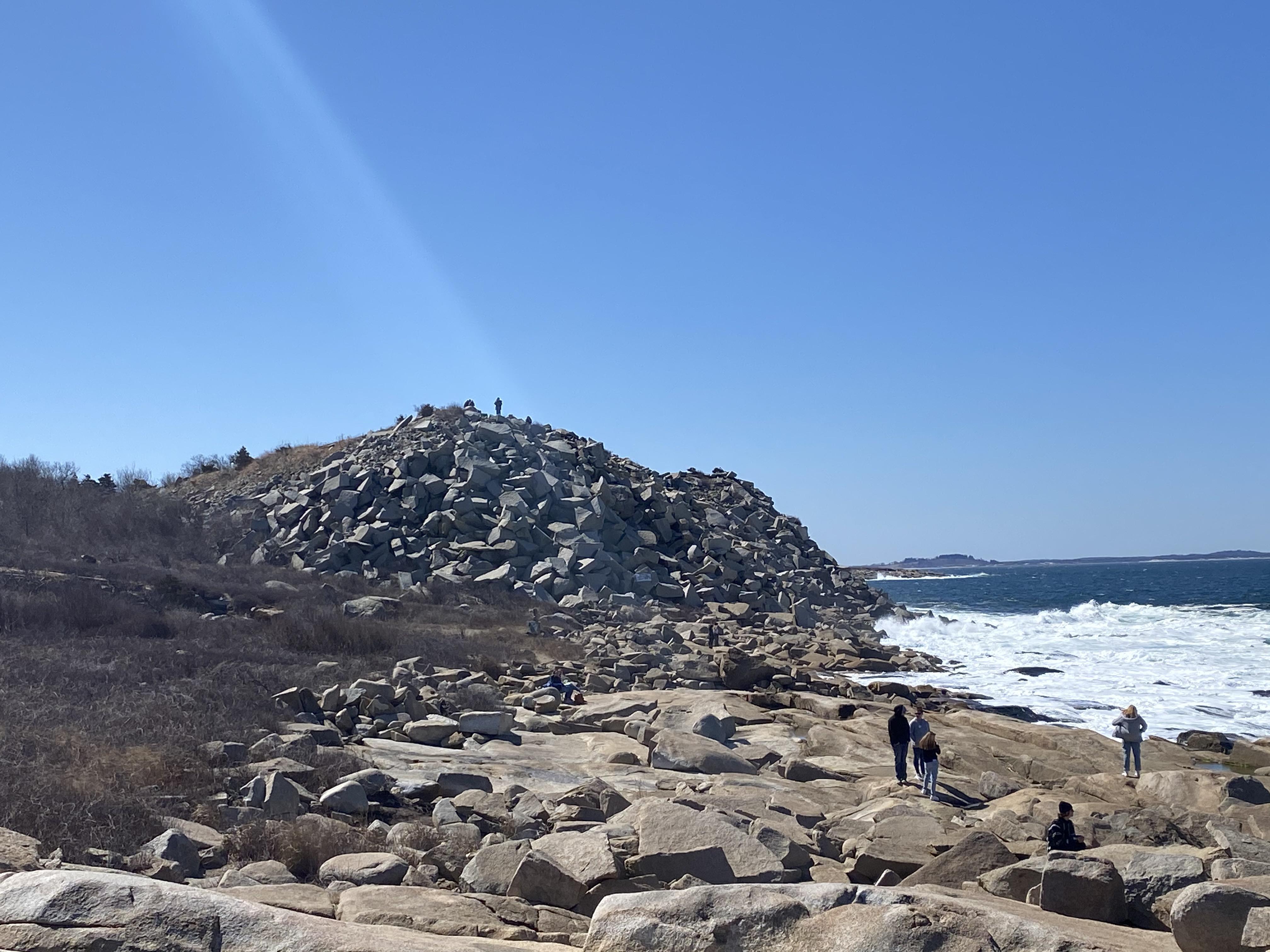 Are Dogs Allowed At Halibut Point State Park