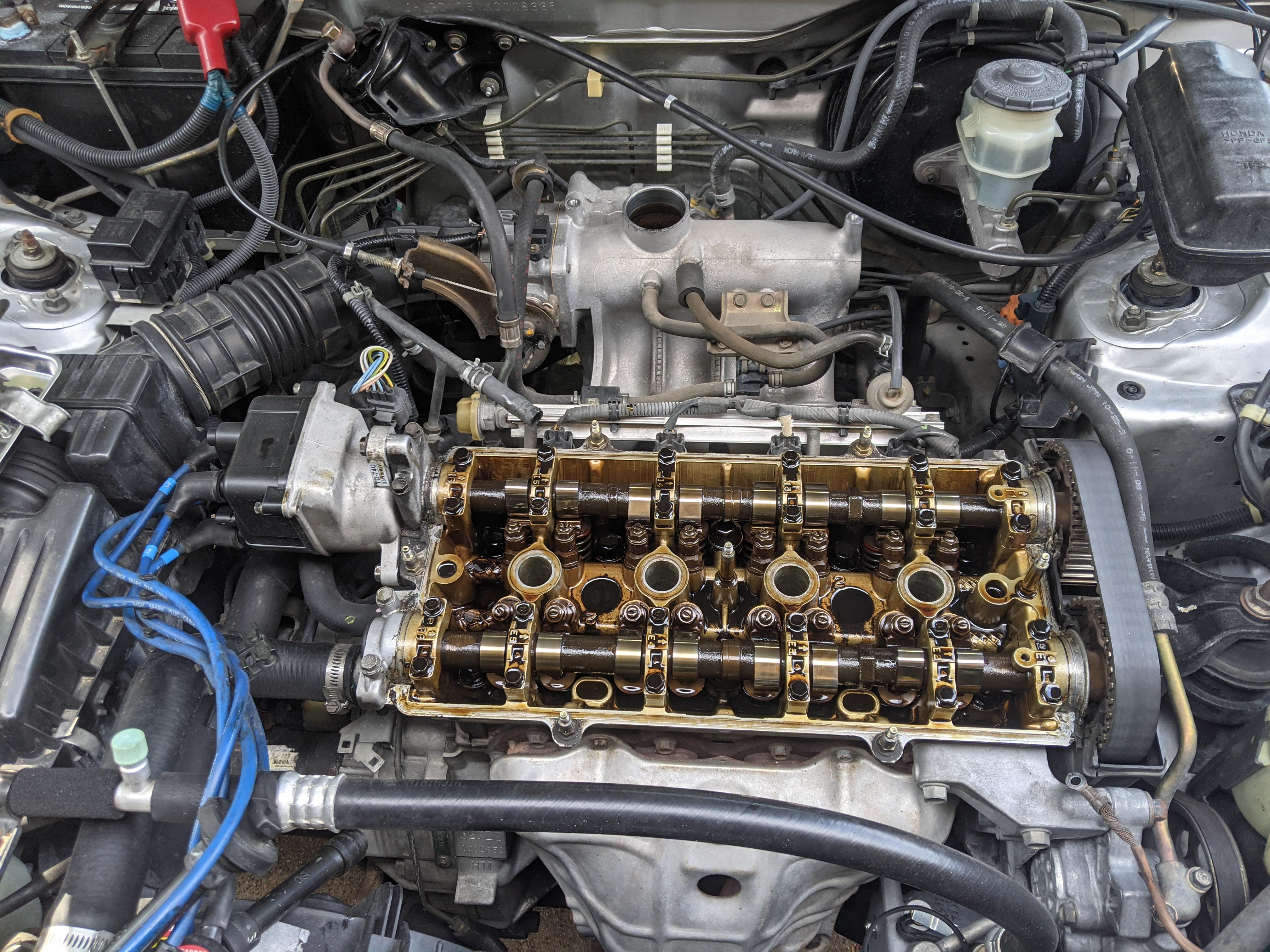 Knocking out the valve adjustment. Doesn't look bad with over 260k on