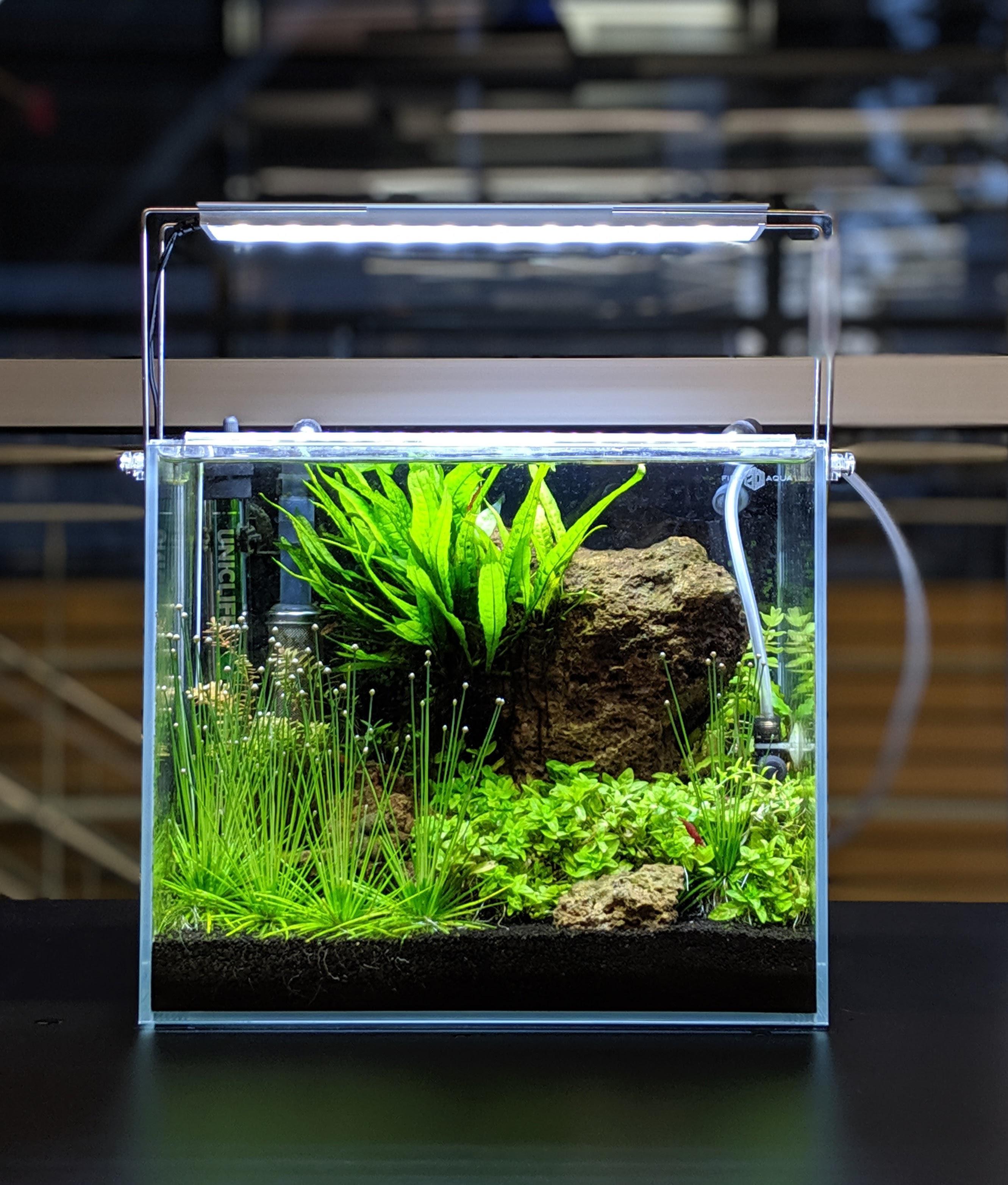 Nano Planted Tank