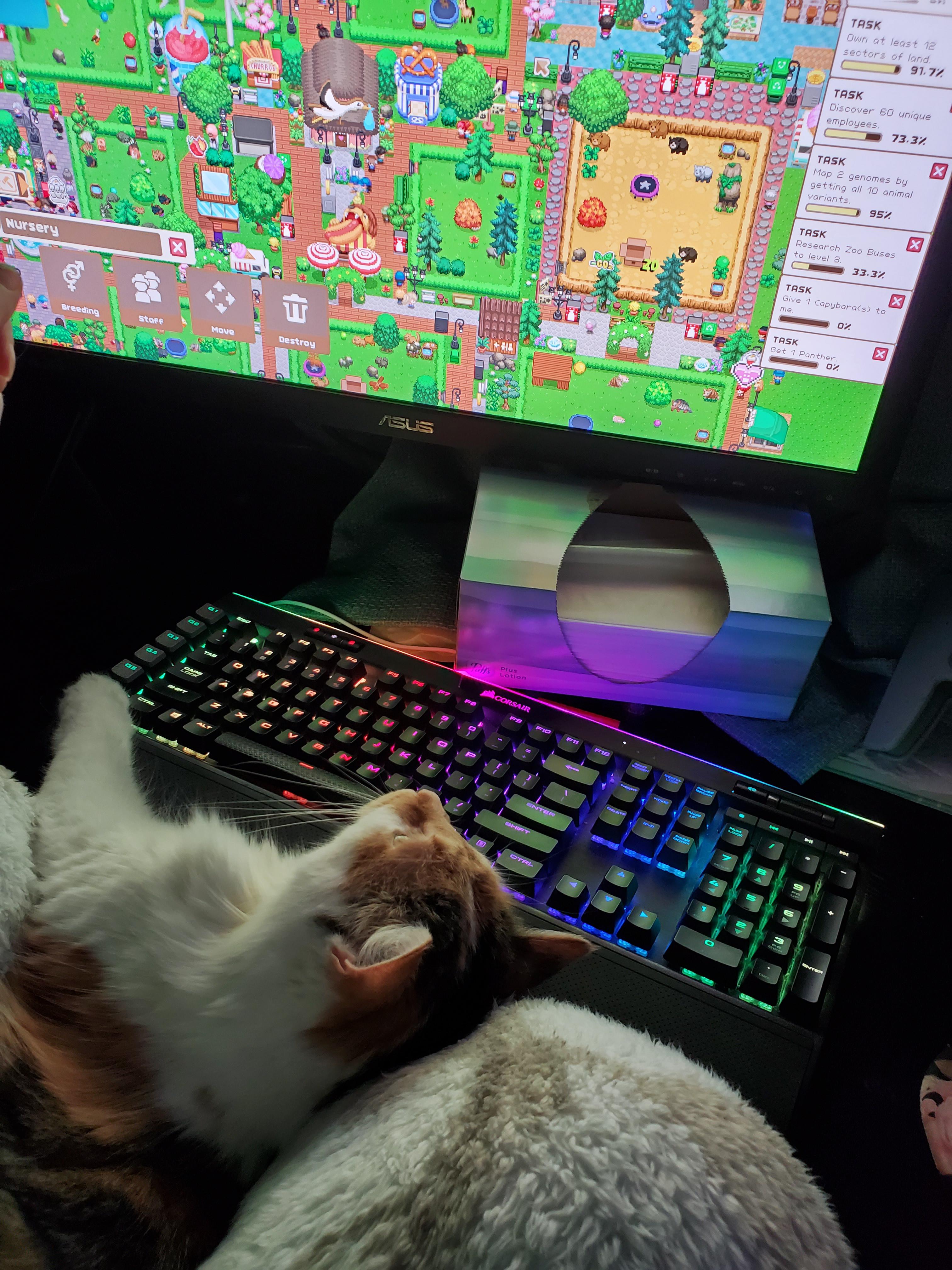 62 best u/ally-sha images on Pholder | Selfie, Amihot and Cats