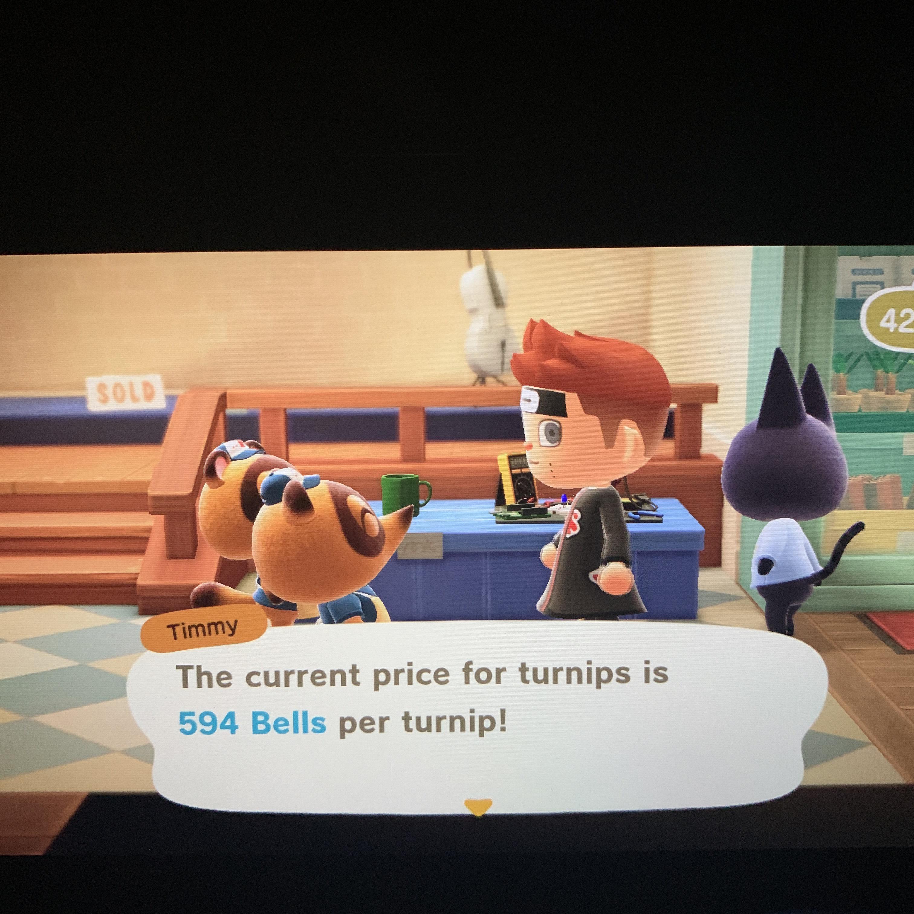 594 turnip prices! I’ll only let a few in at a time to keep things from crashing, tips much