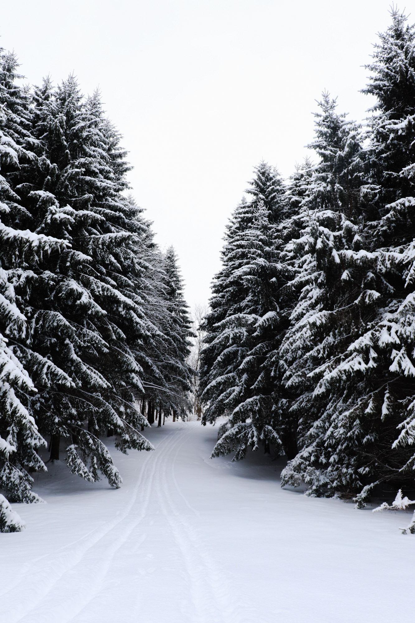 Upstate NY r/snowshoeing
