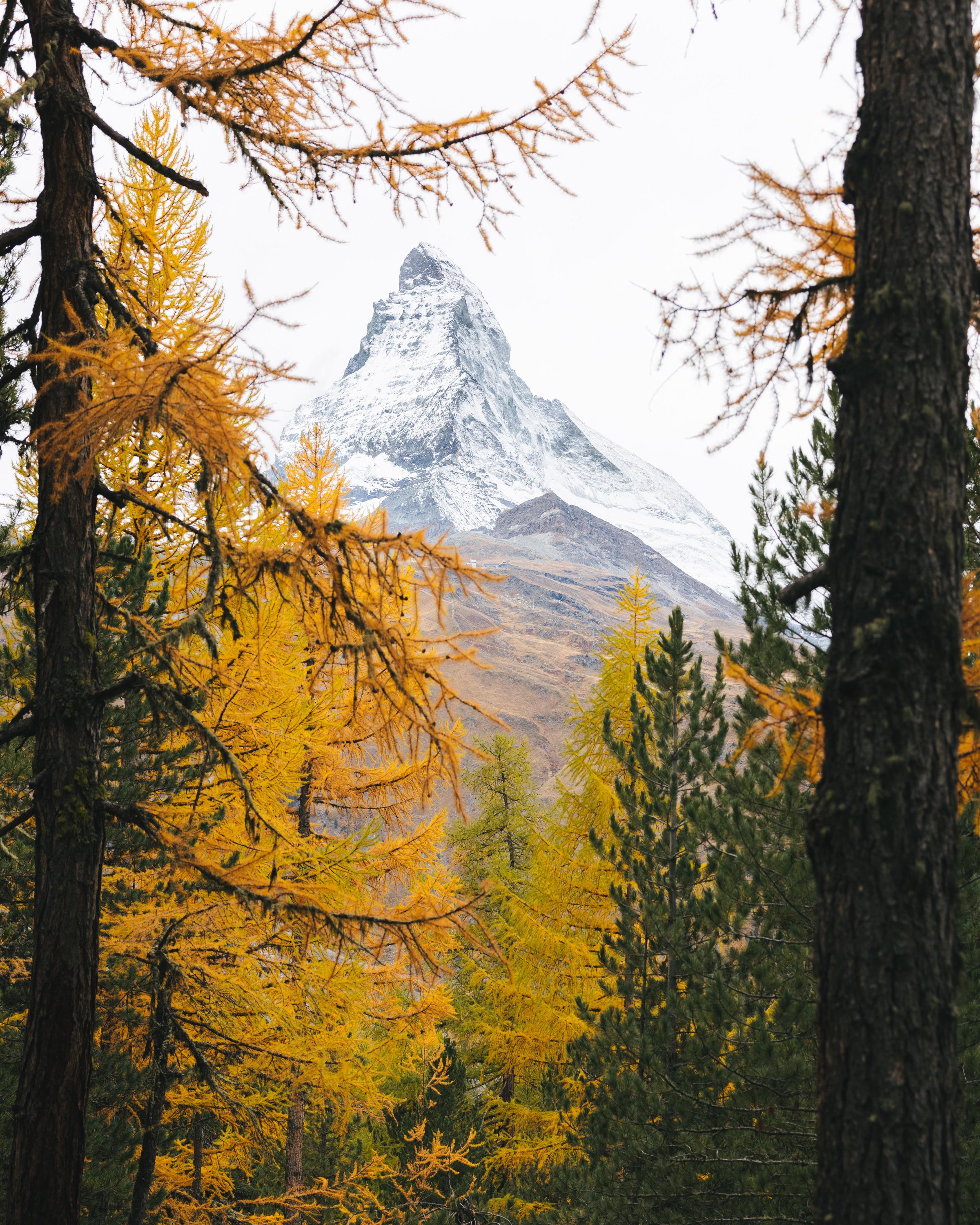 The fall colors are PRIME in Switzerland right now. [2400×3000