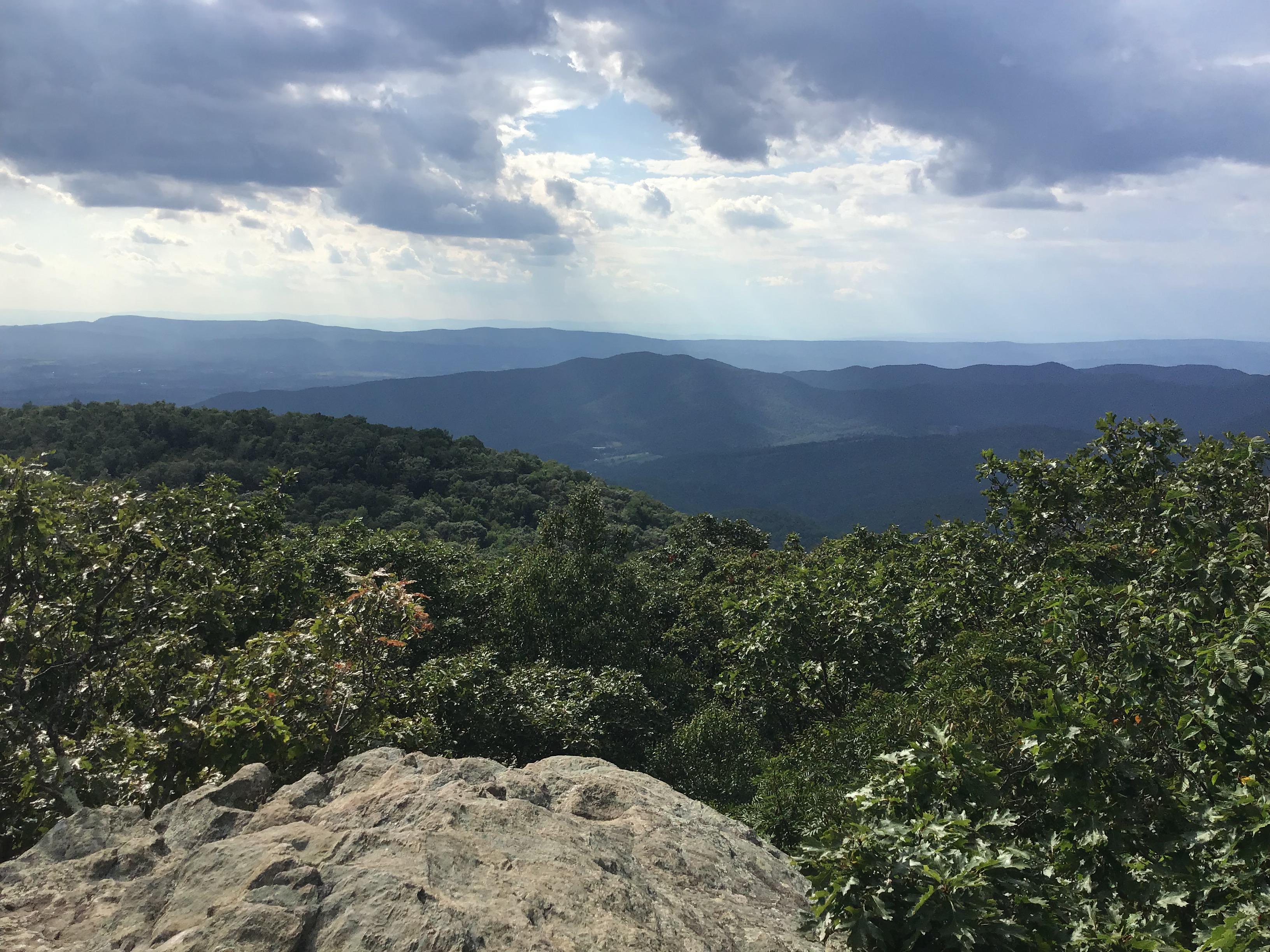 Saw a bear on Bearfence Mountain Trail, Shenandoah National Park