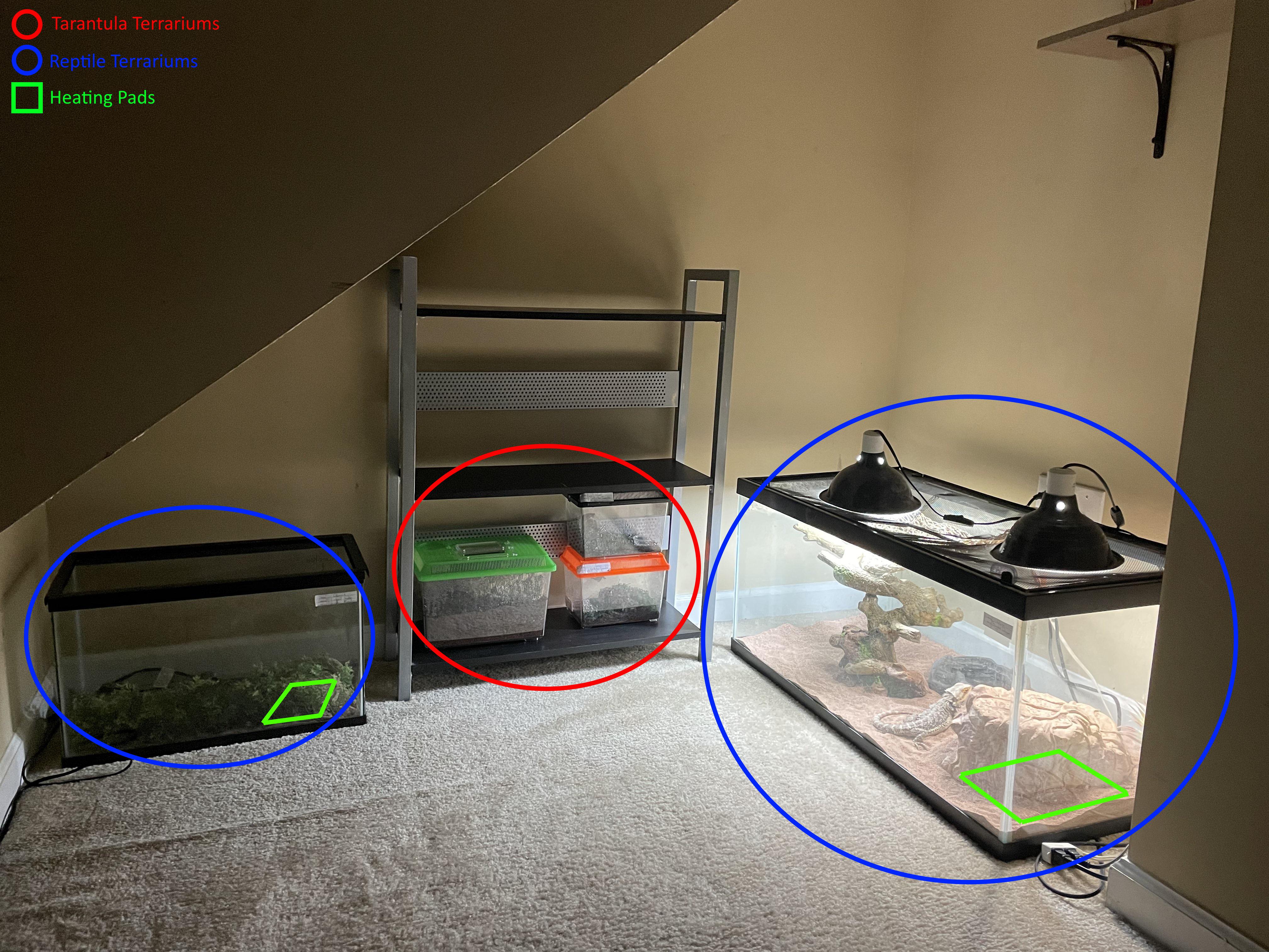 (OC) Heating Pads for the Reptile Terrariums r near the Tarantula