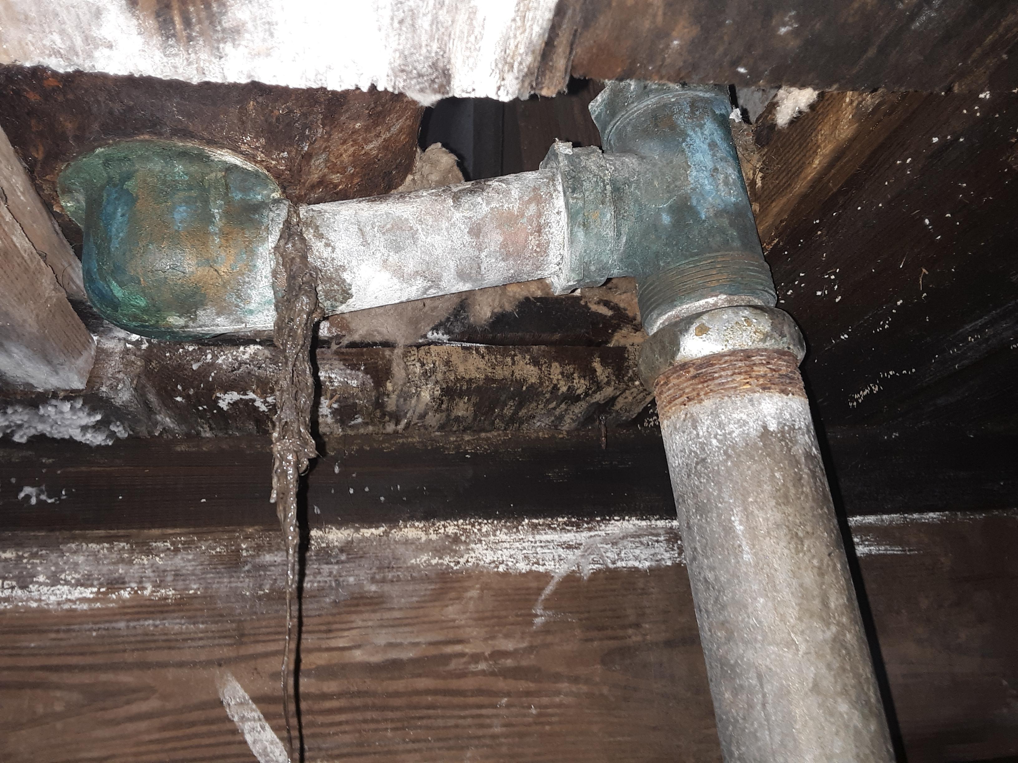 Bathtub Not Draining Standing Water at Stewart Folsom blog