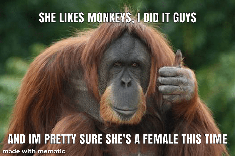 She likes monkey ) and follows my meme account r/MonkeyMemes