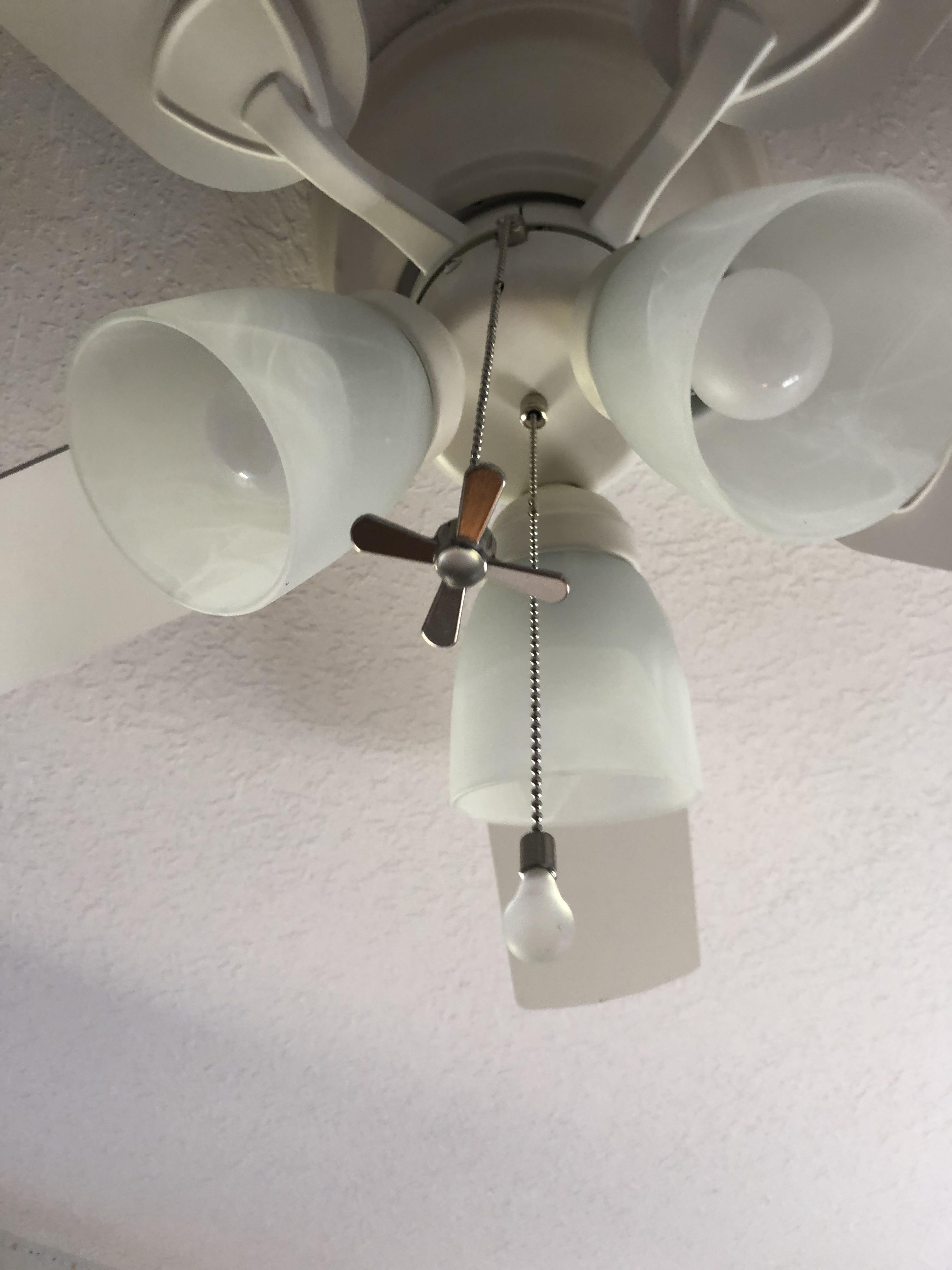 Ceiling Fan accoutrement is a little fan and light bulb for designated