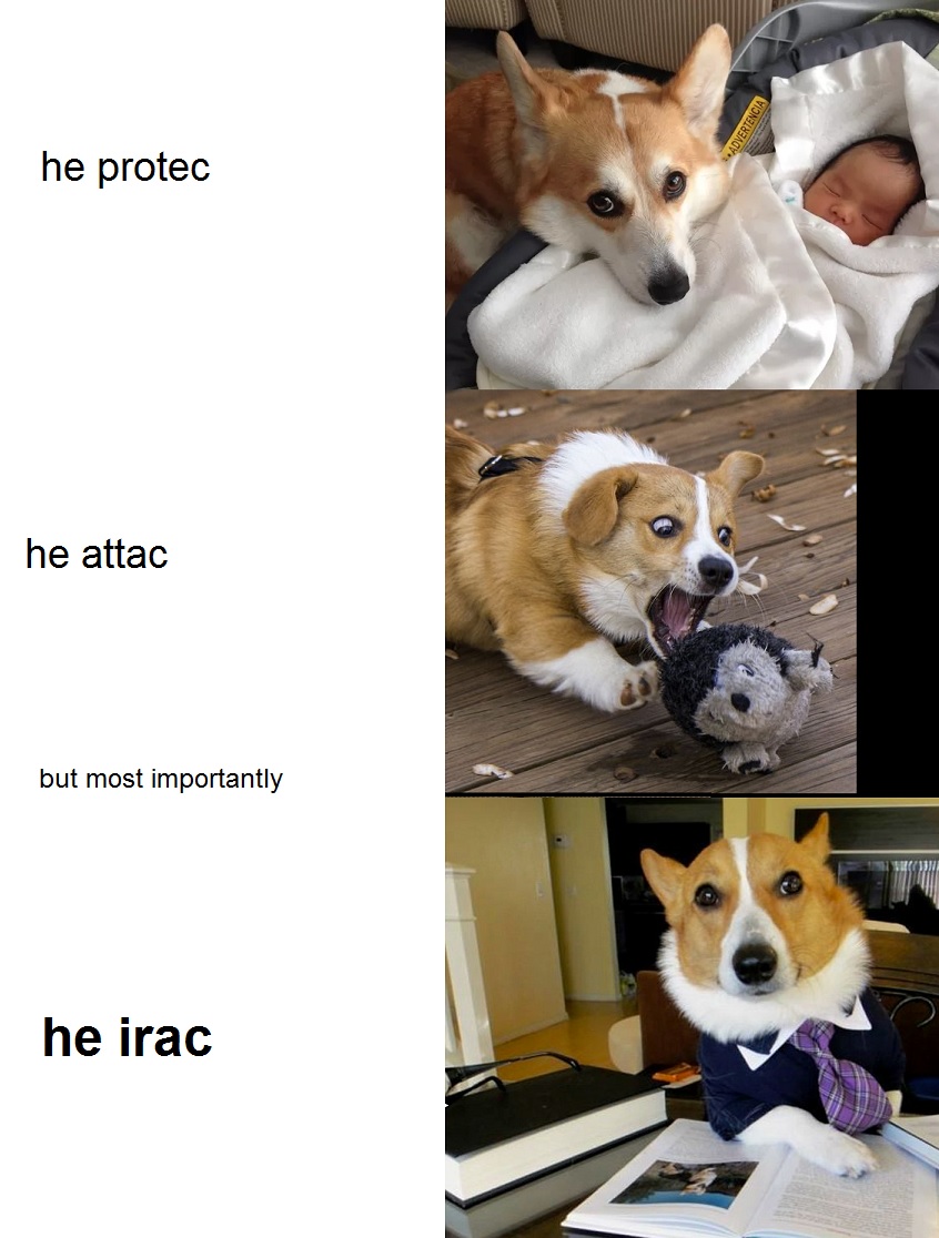 Law Dog does it all r/LawSchool