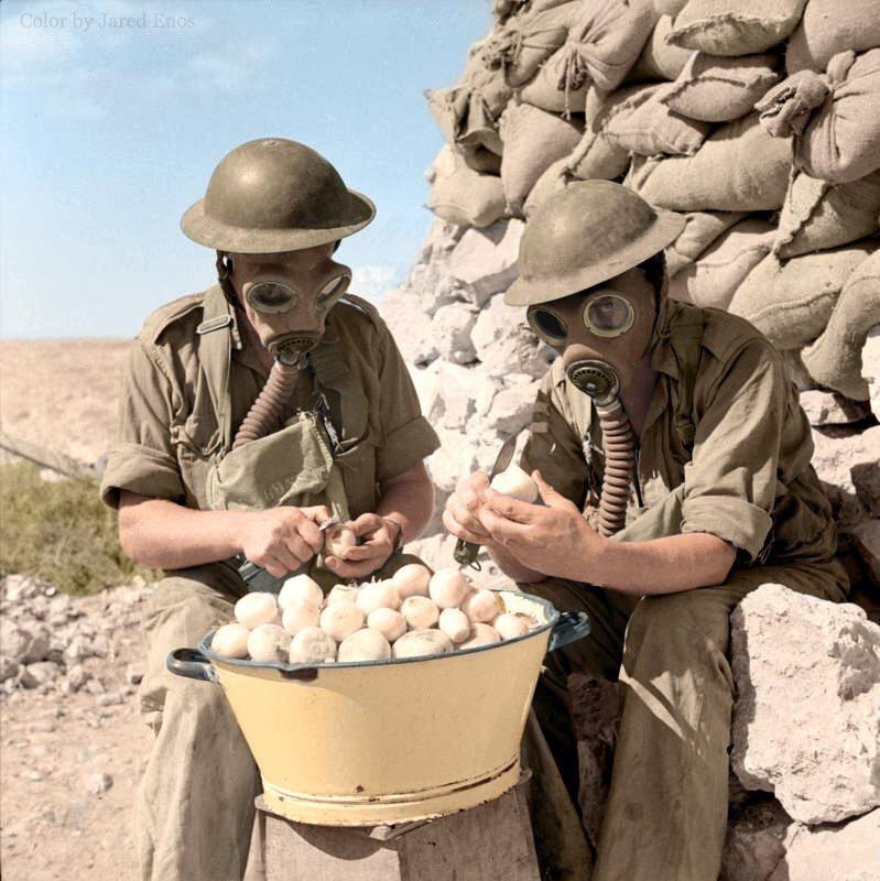 British soldiers peeling onions with gas masks. Tobruk 1941 (colorized