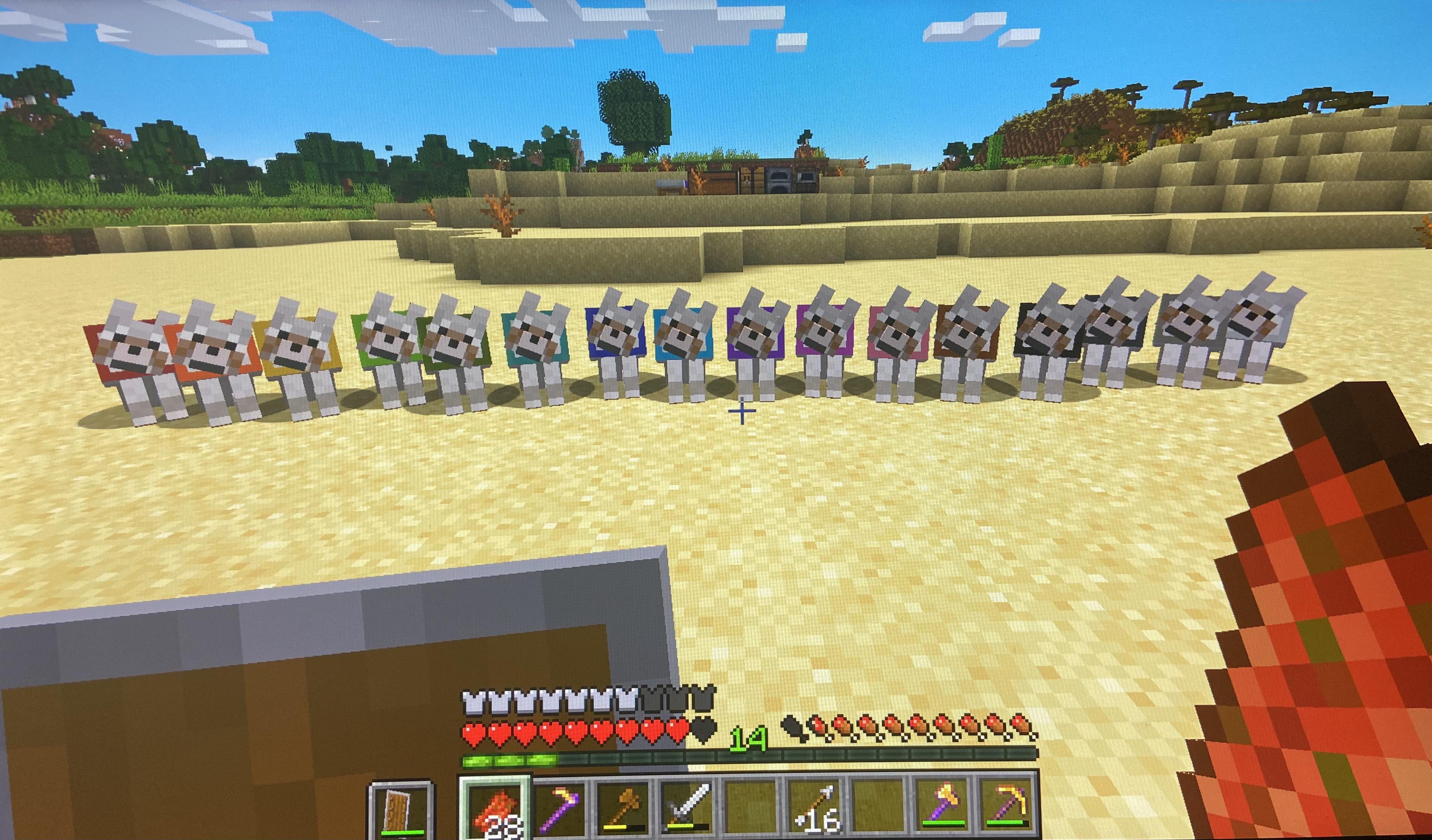 Finally dyed all 16 of my wolves each dye color. r/Minecraft