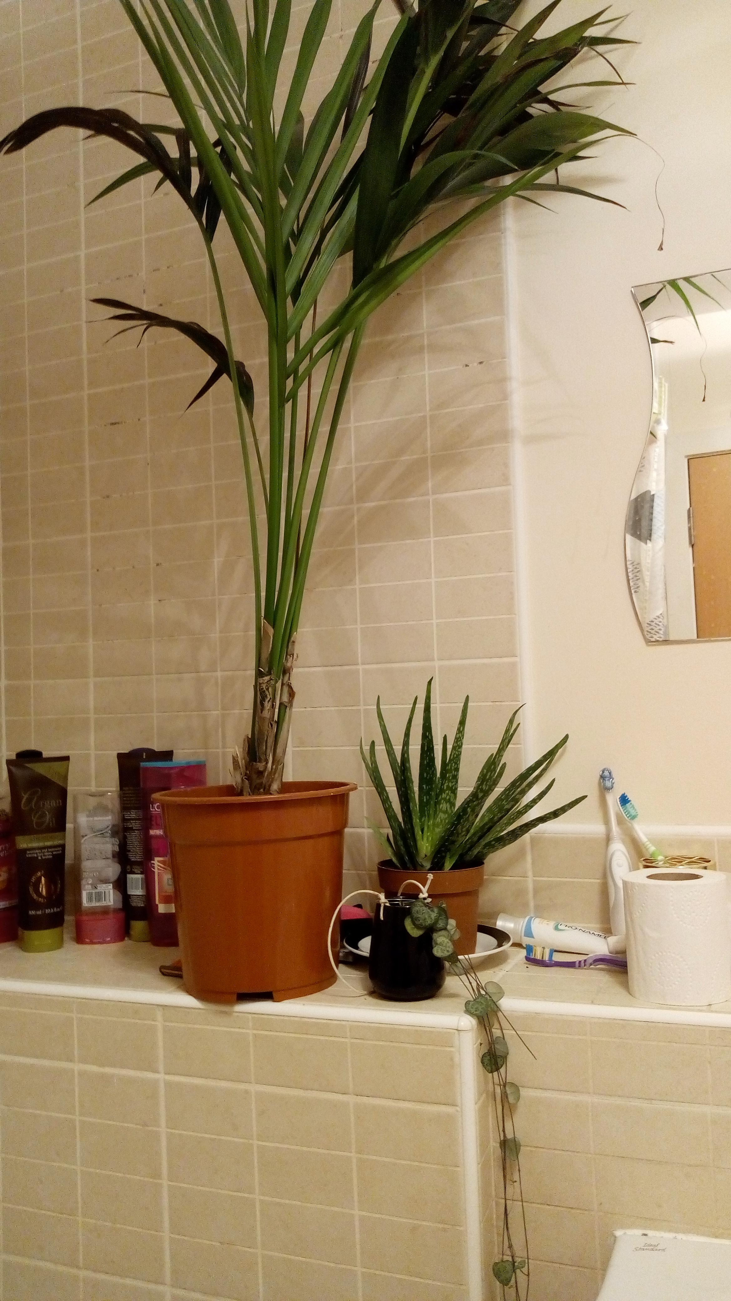 Been a very cold/dry winter so started showering with some of my plants
