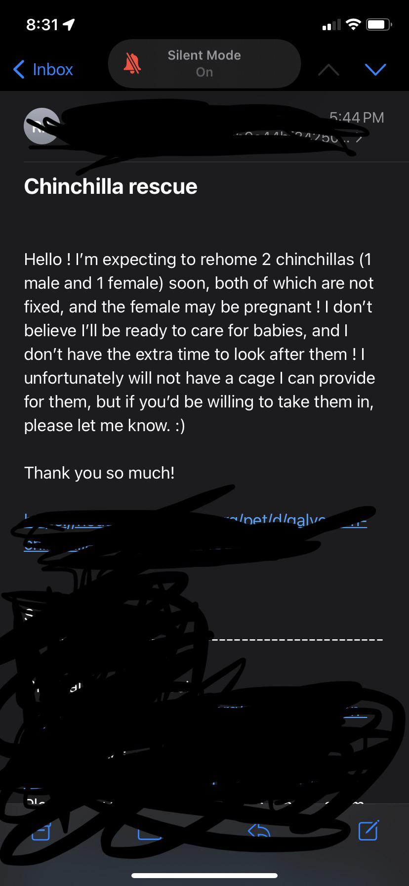 I received this email from someone looking to rehome her chinchillas in