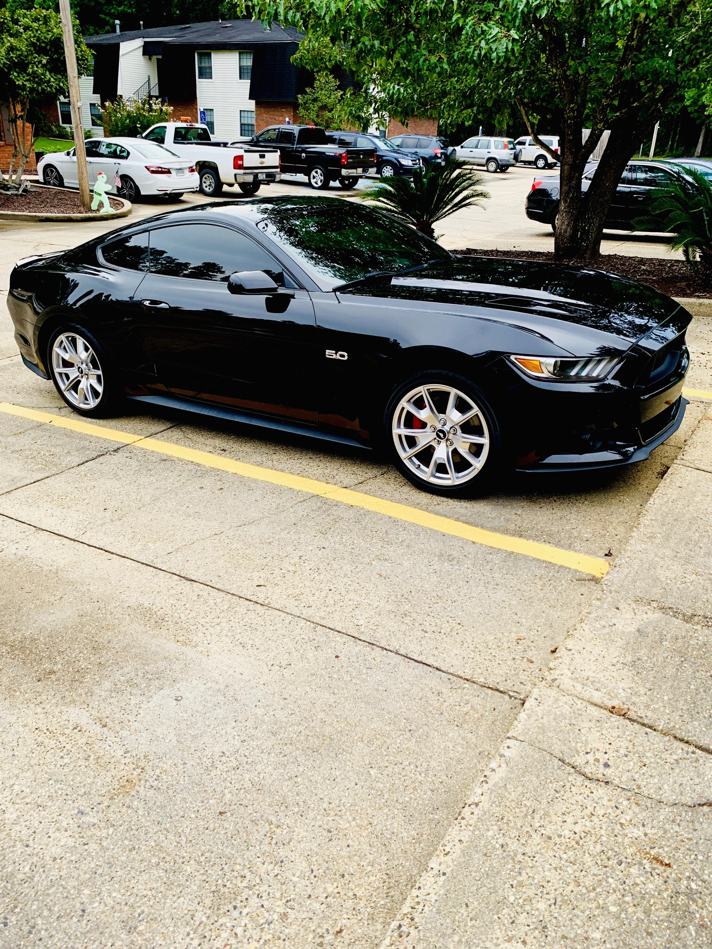 My ‘15 with 31,000 miles. Finally after 8 years, I’m back in another