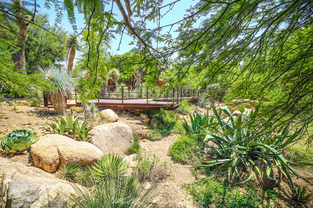 The desert botanical gardens r/Scottsdale