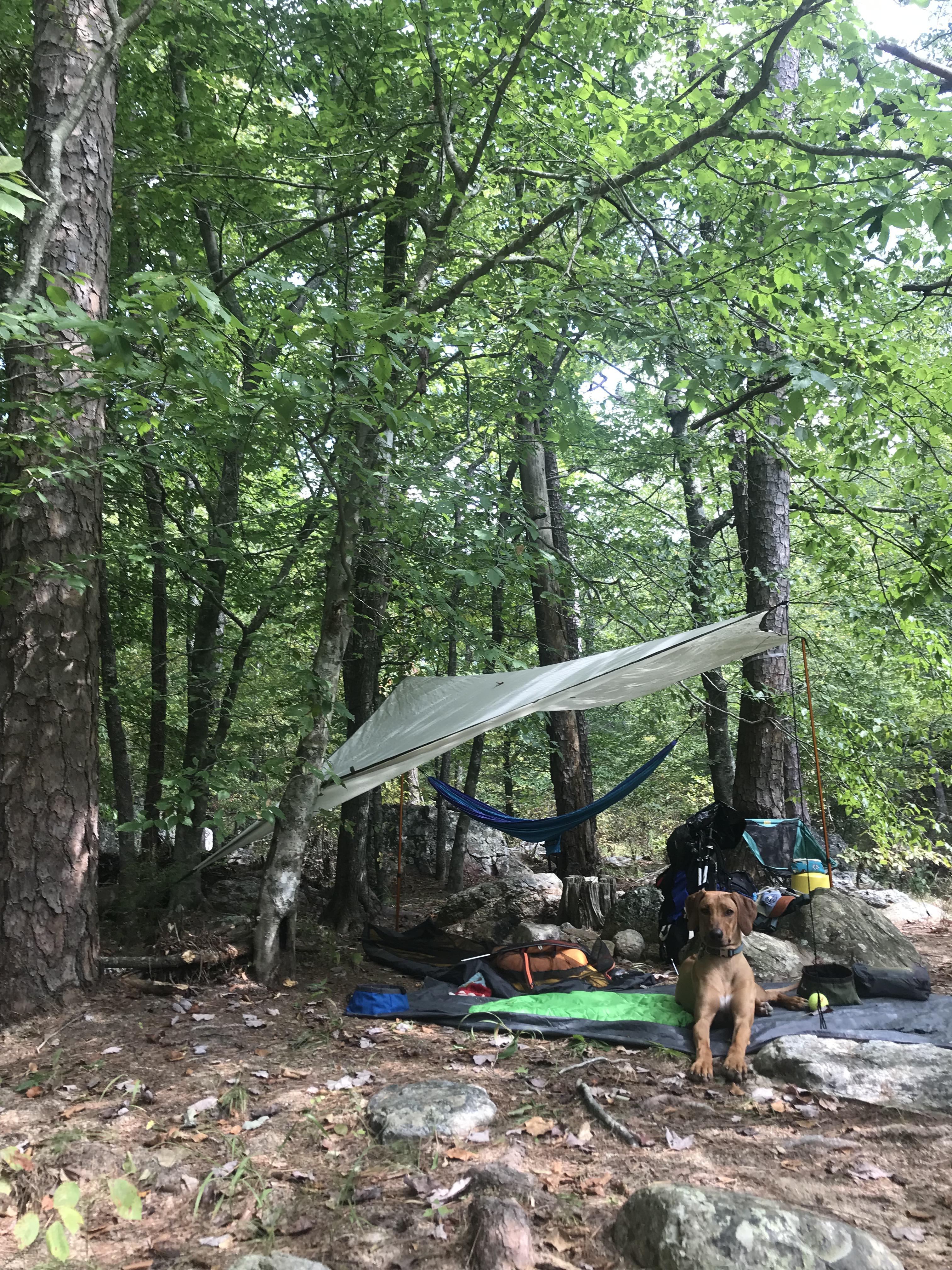 Cholla’s first multiday hike around the Eagle Rock Loop AR r/backpacking
