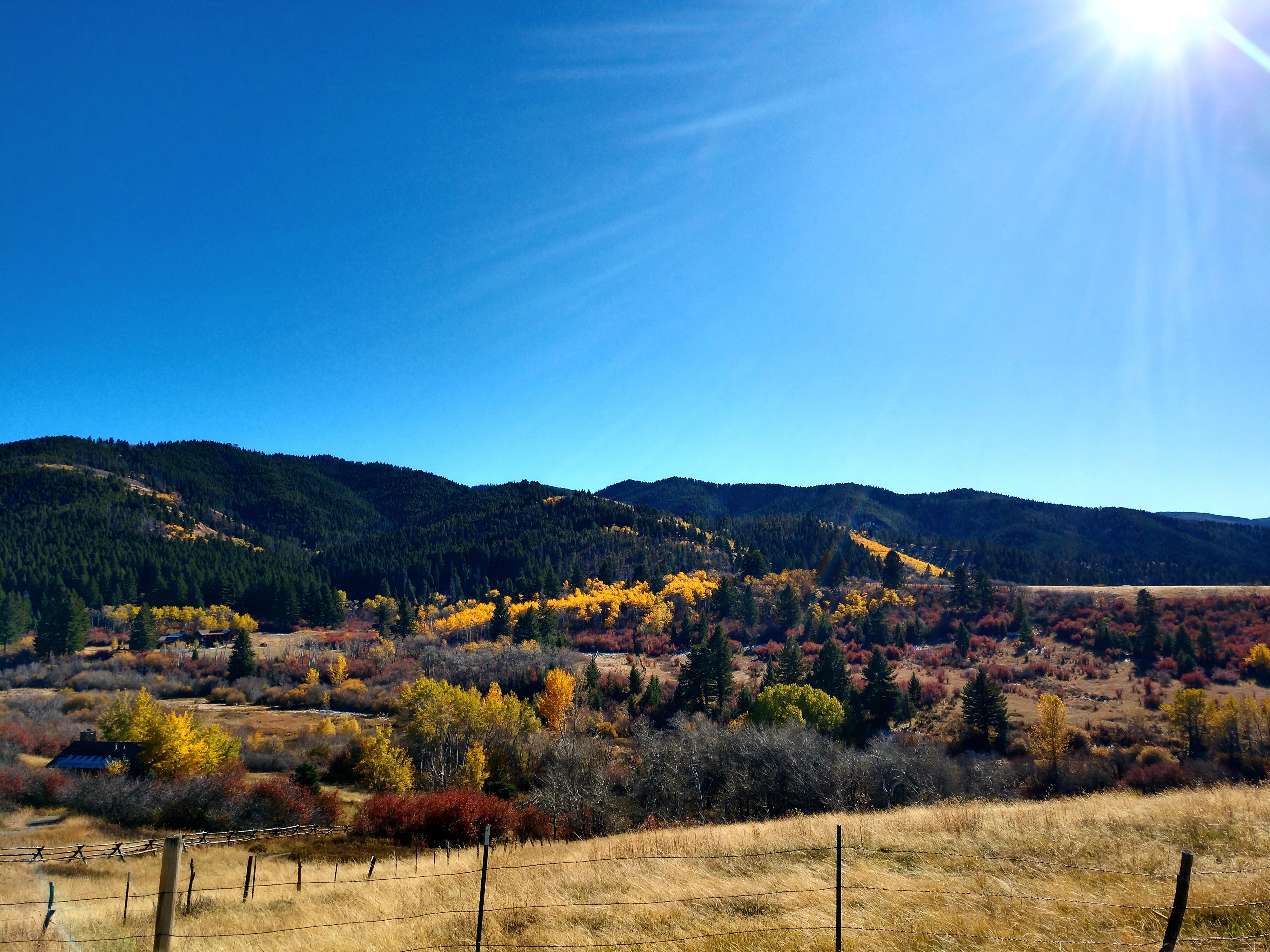 Fall colors on triple tree trail r/Bozeman