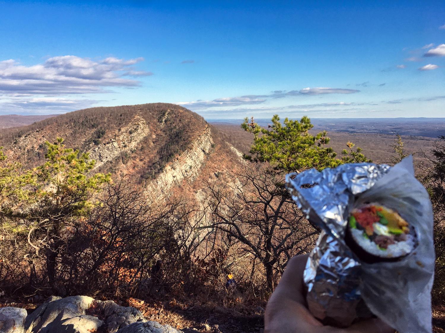 Lunch With A View. Mount Minsi, Delaware Water Gap, Pennsylvania, USA