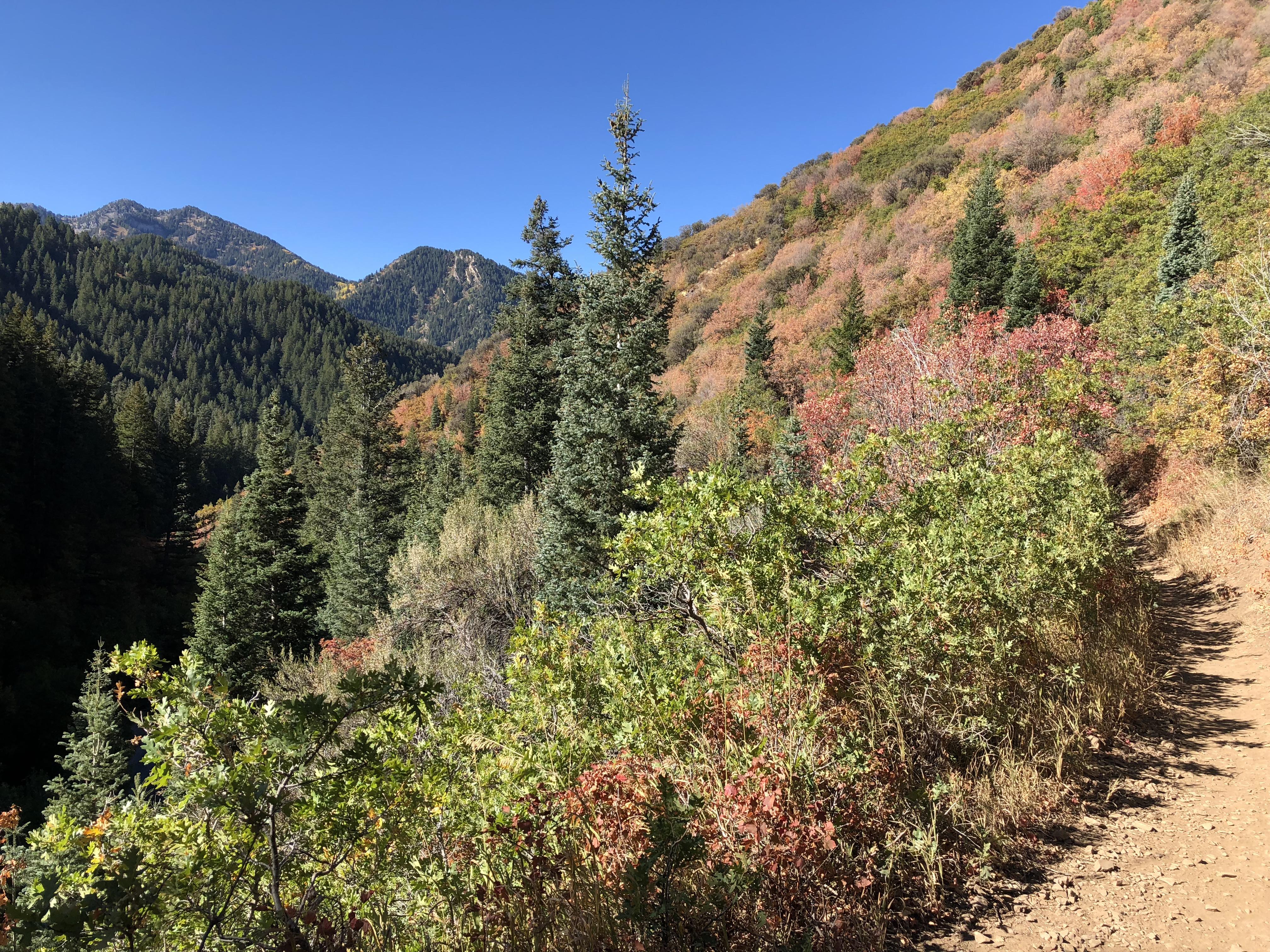 Fall in Utah has arrived, 14 miler in Millcreek r/trailrunning