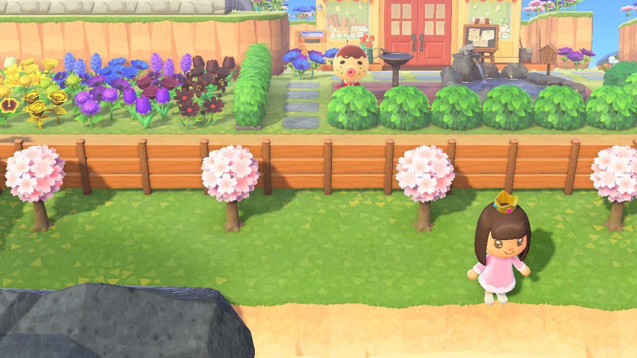 I have mostly fruit trees on my island so I planted some regular saplings to get more cherry