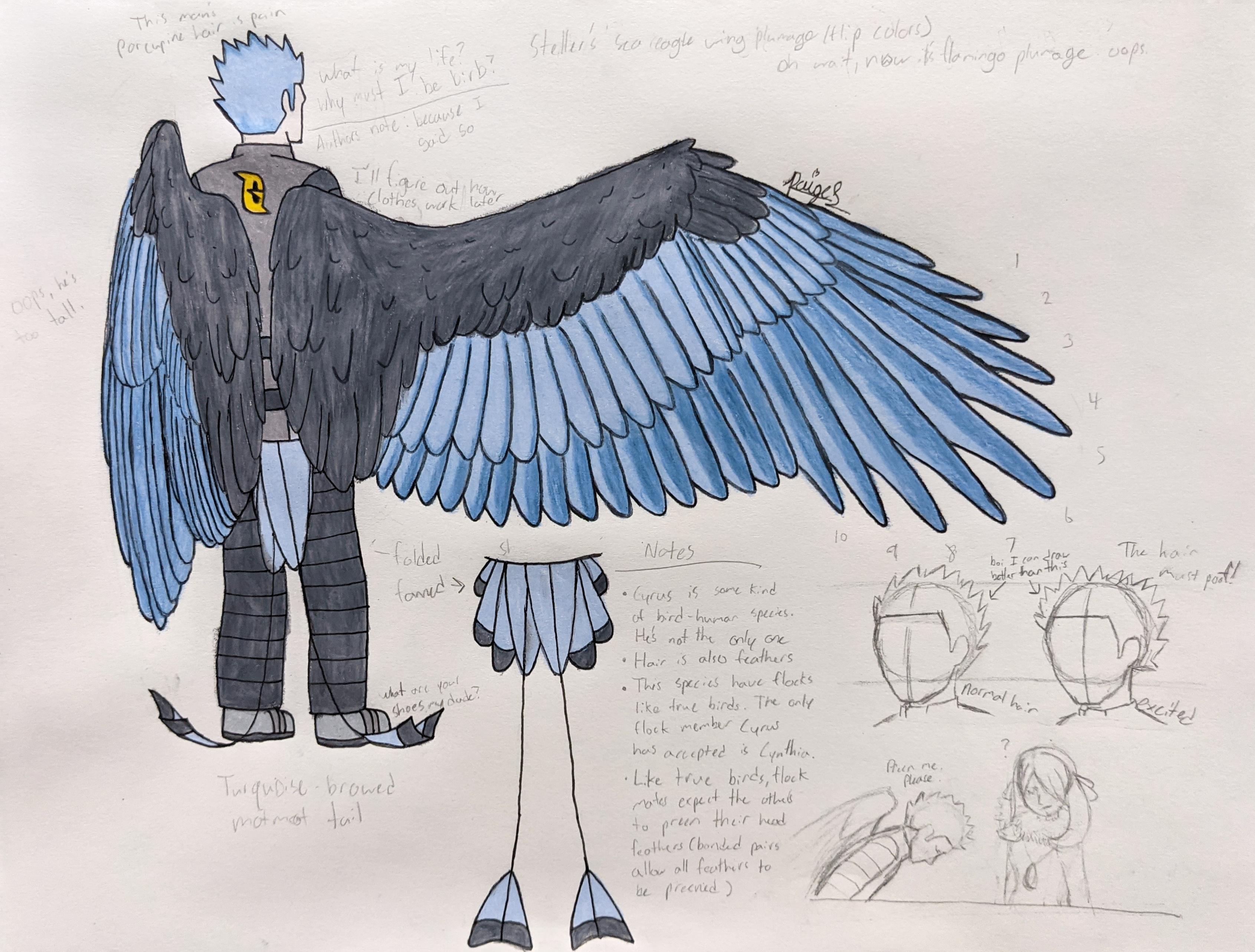 I wanted to draw a bird person and I chose Cyrus to be the subject. I