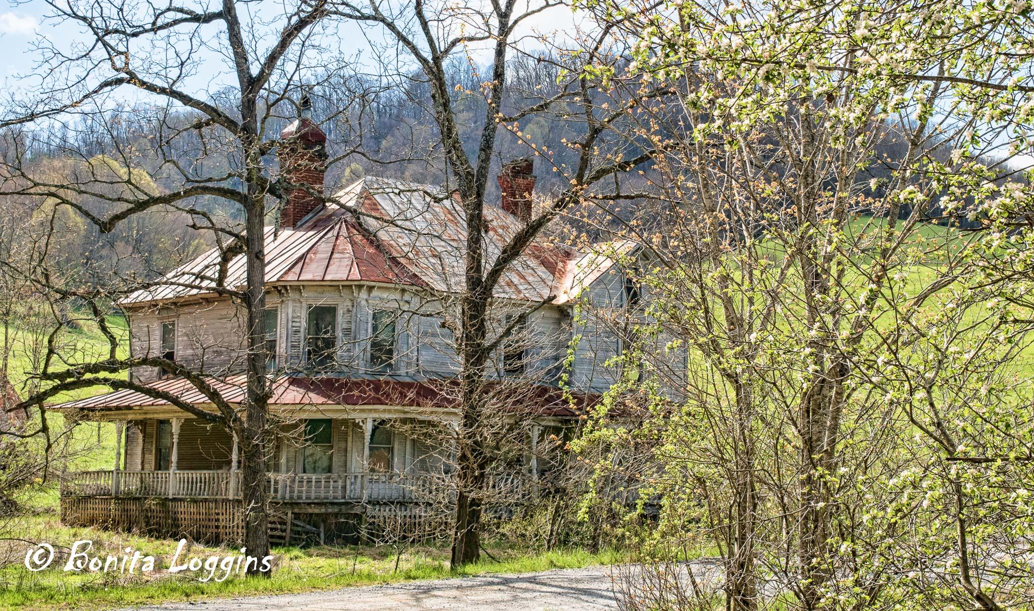 Abandoned old farmhouse in North Carolina [OC] {2048 x 1211} r