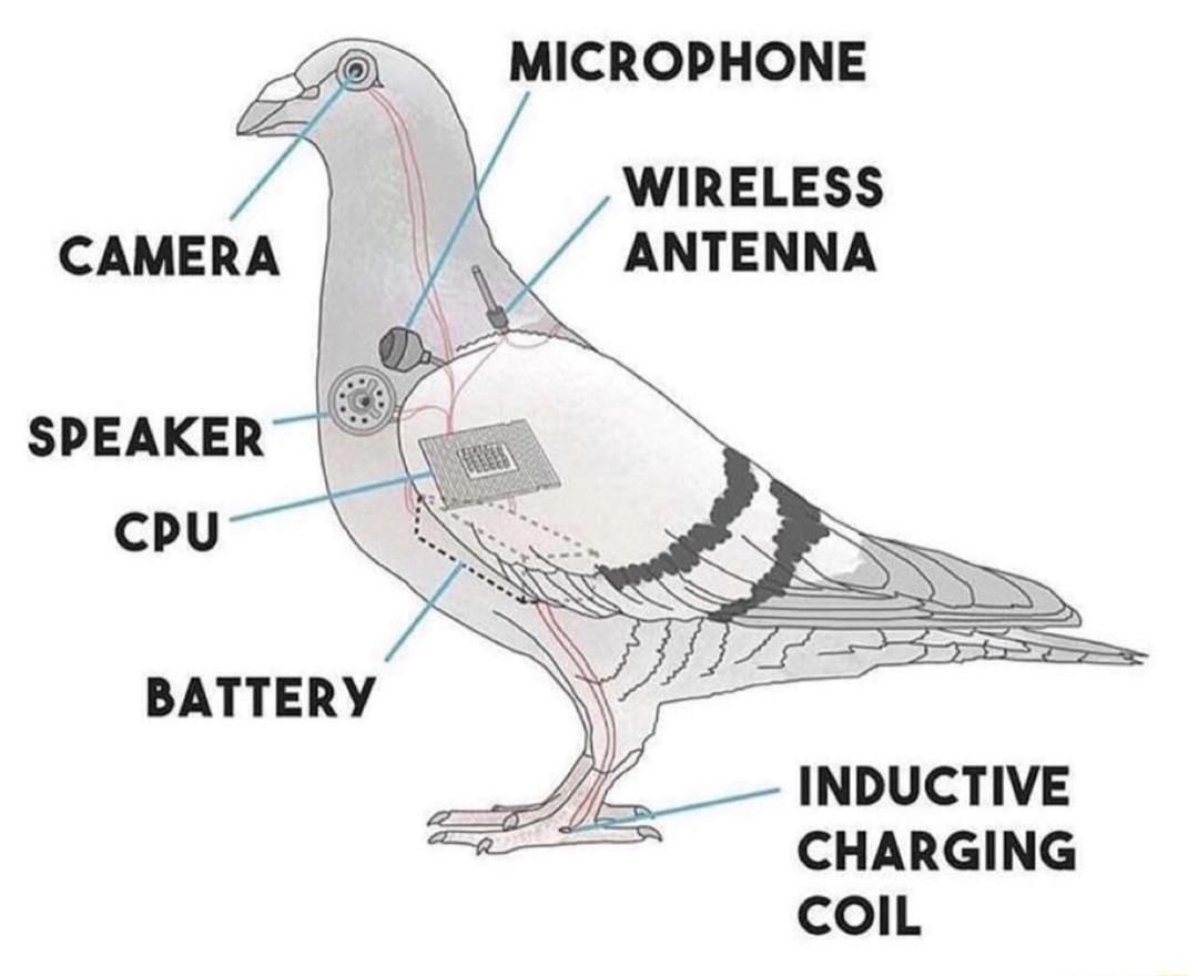 Pigeon Diagram