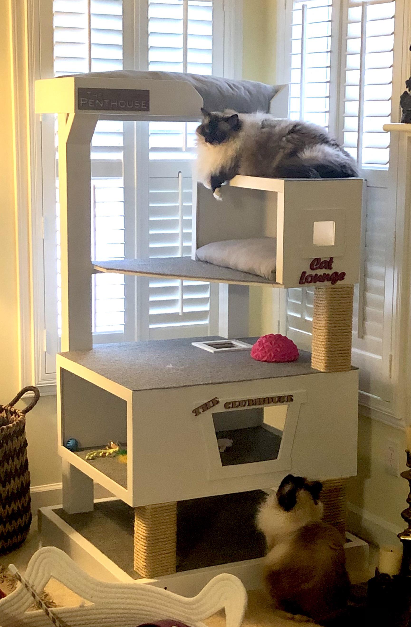 Custom cat tree for two frisky Ragdolls! r/cats