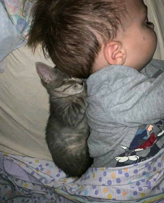 Sleep with my little hooman r/Eyebleach