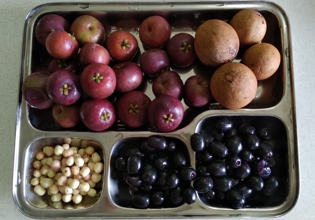 Just some yummy local Goan fruits. r/Goa