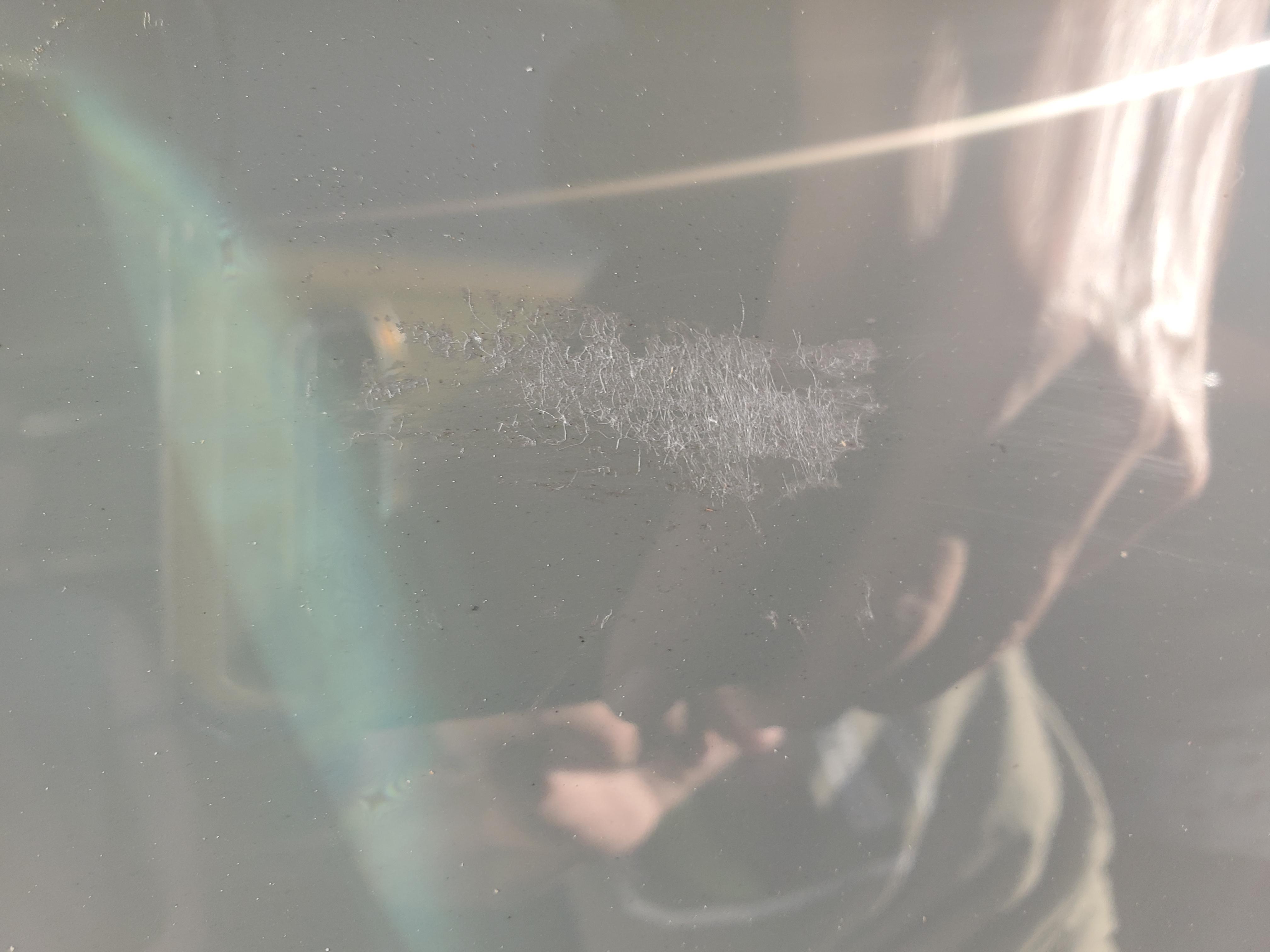 Hope to best remove duct tape residue from car paint? r/CleaningTips