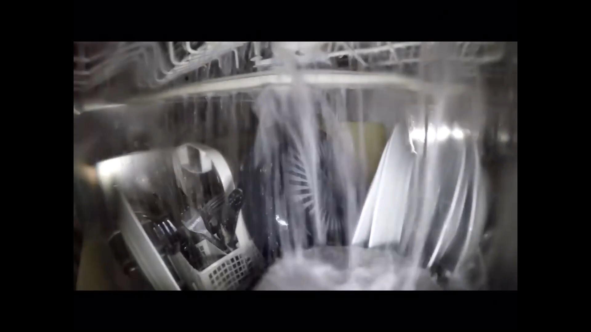 Life inside a dishwasher r/interestingasfuck