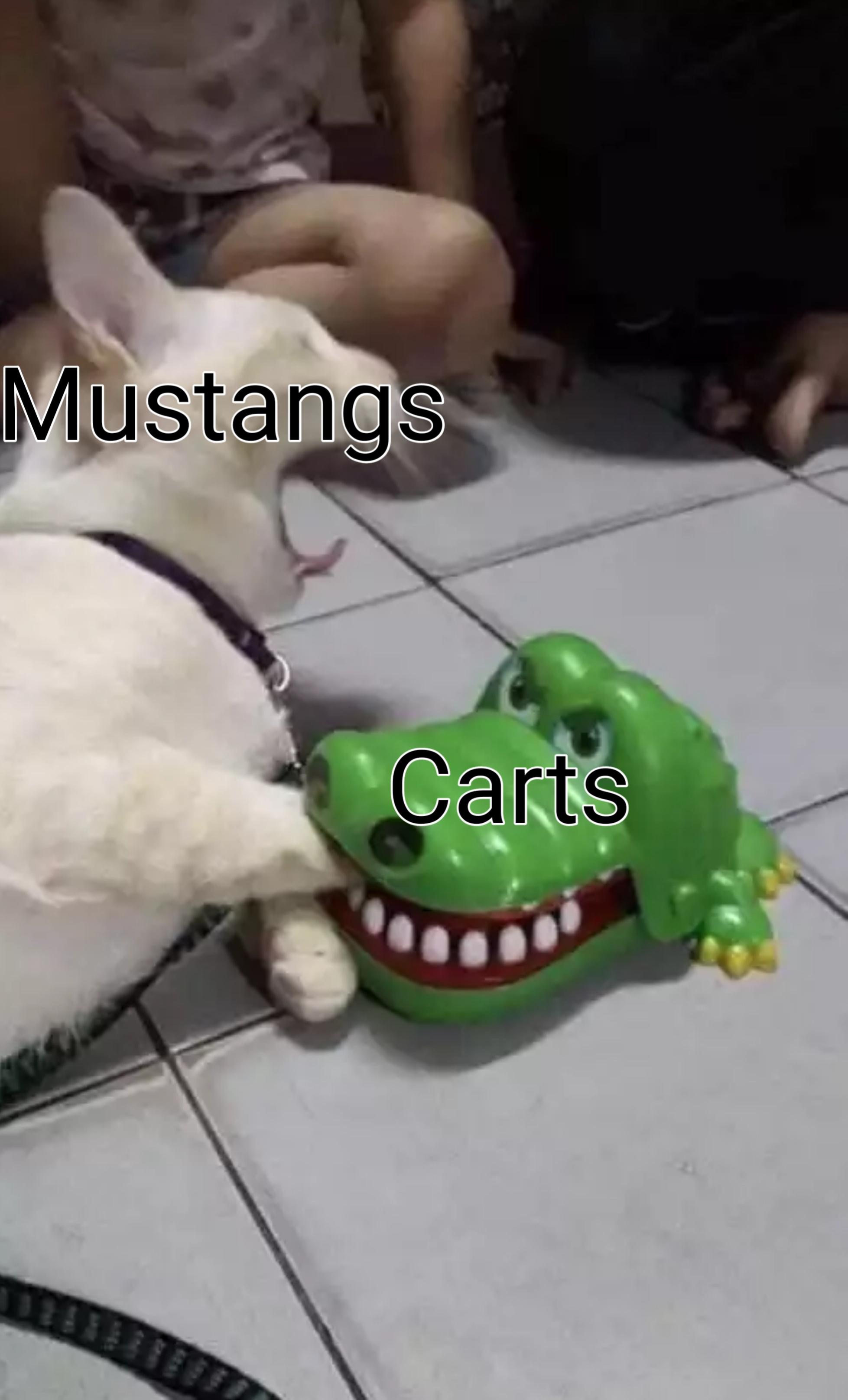 The red ones are double points r/menards