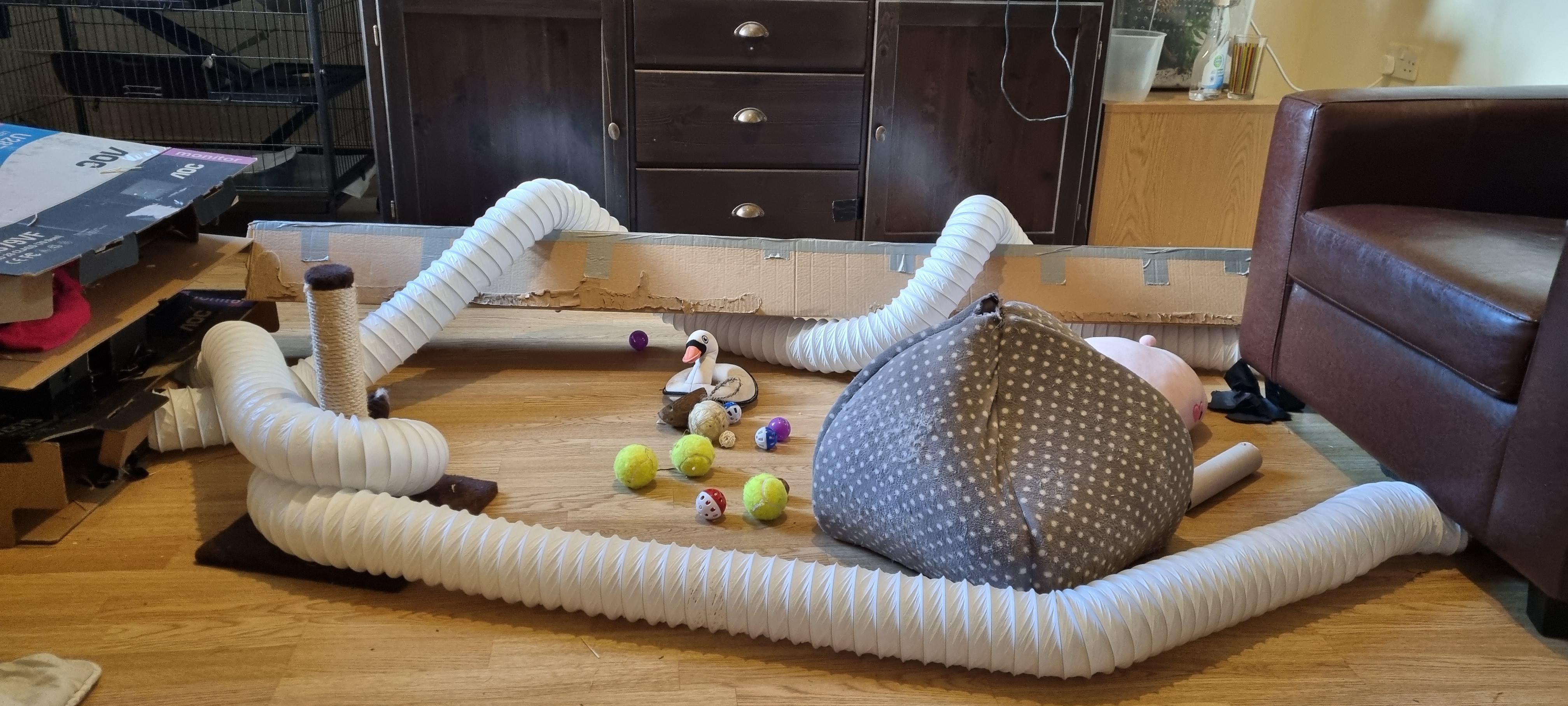 What does your ferret playground look like? Would love some cage and