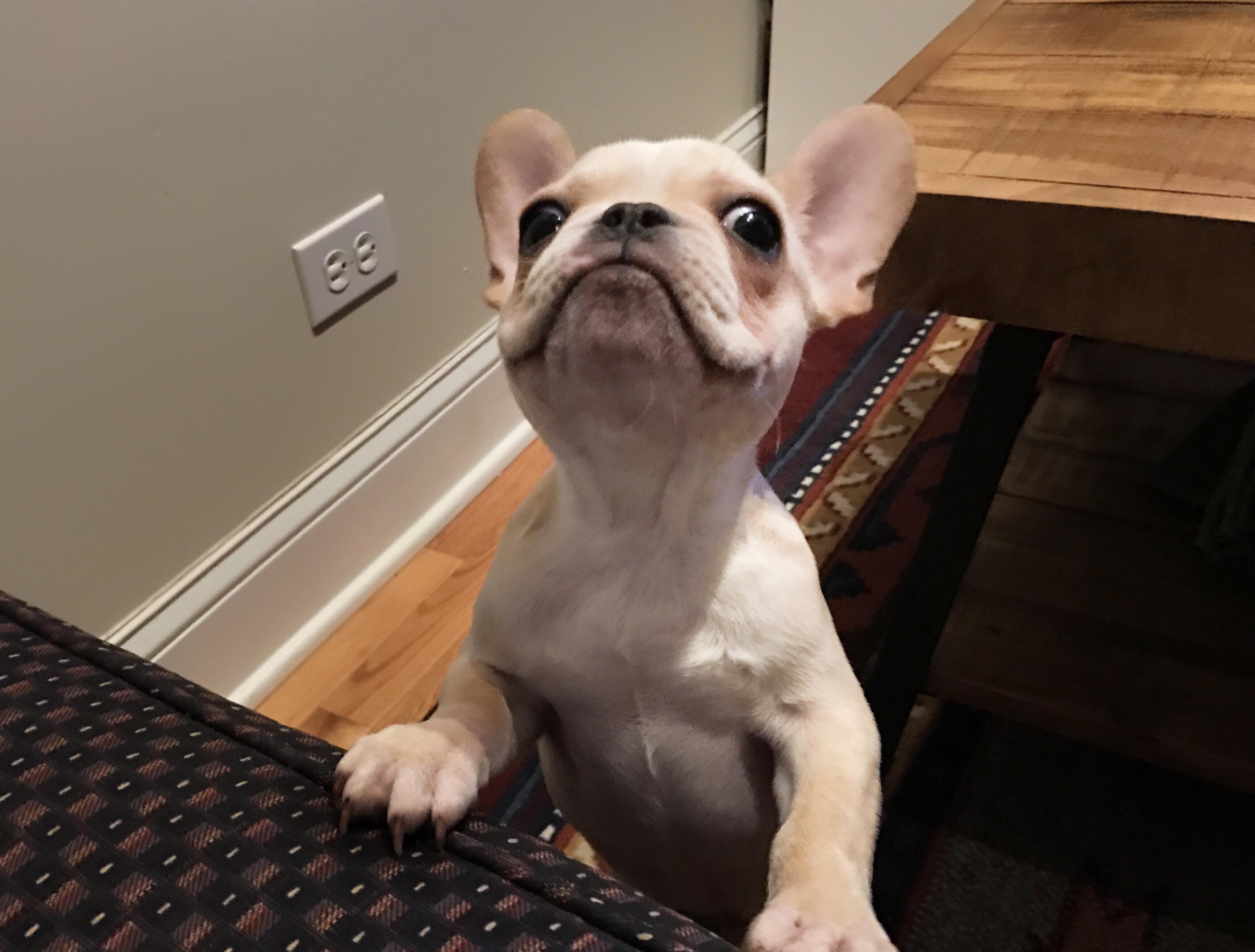 Hey, you got any games on your phone? aww