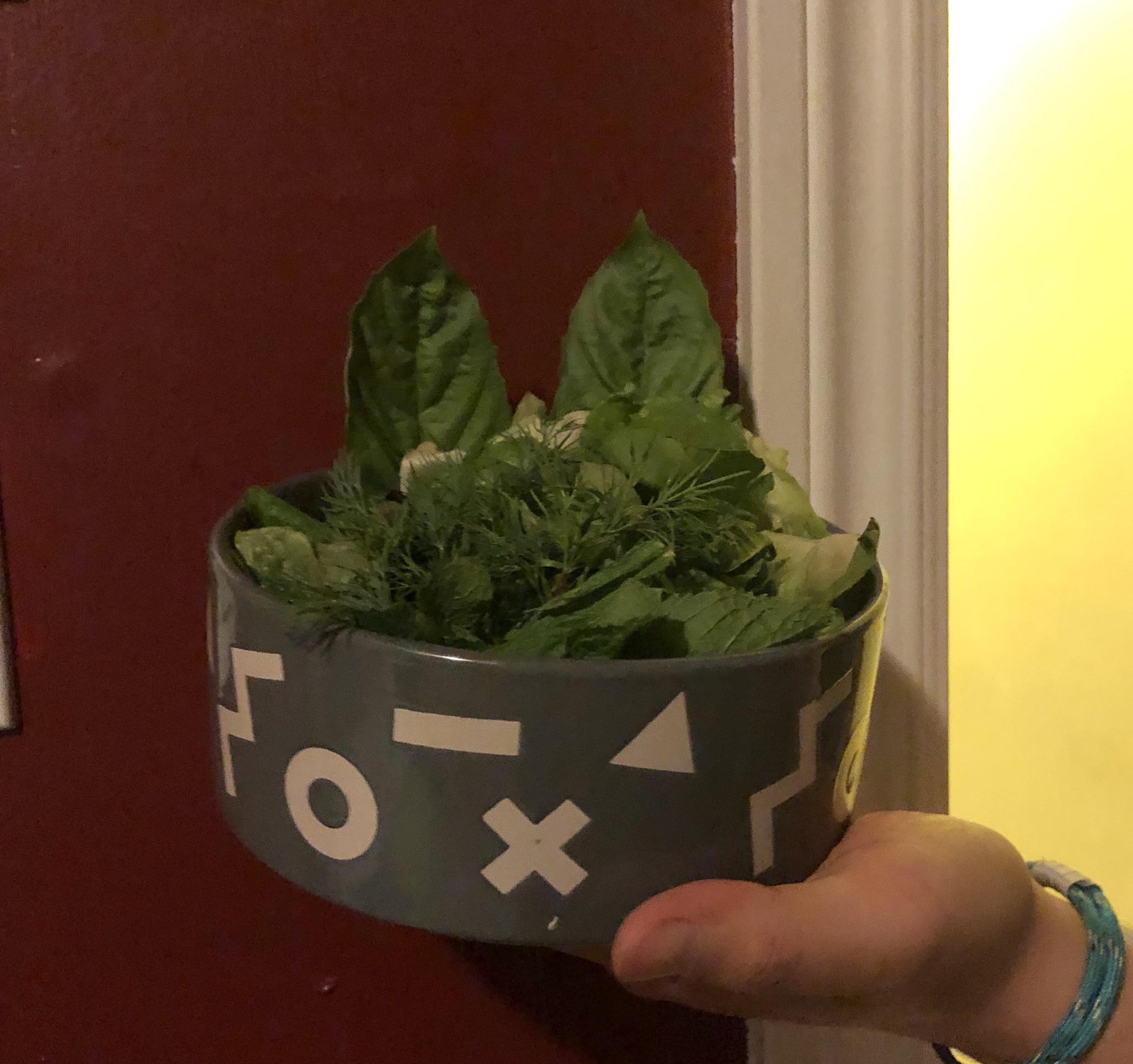 Bunny Salad r/Rabbits