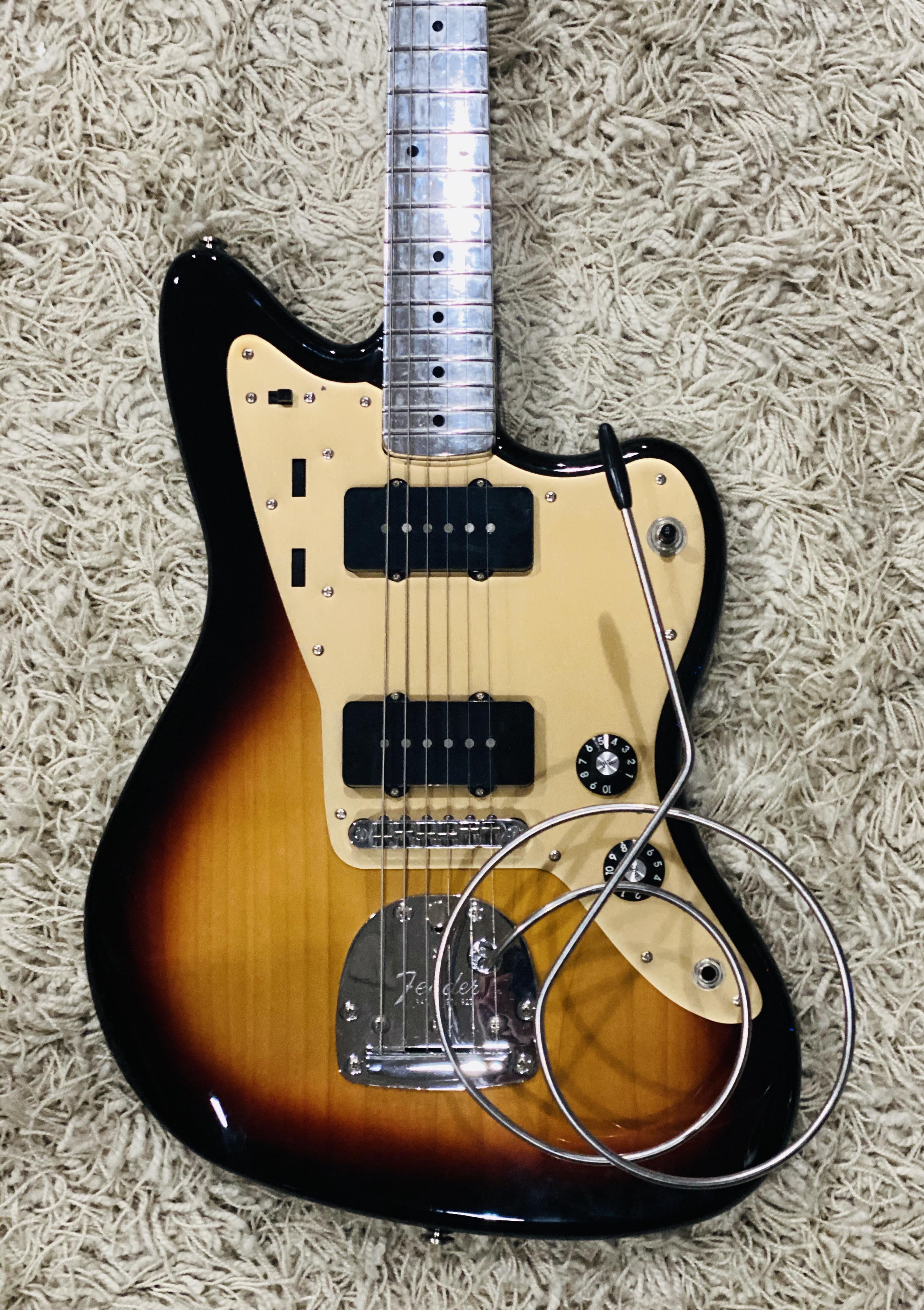 Whacky whammy bars! guitars