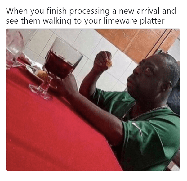 Pitterpatter up to that platter r/Morrowind