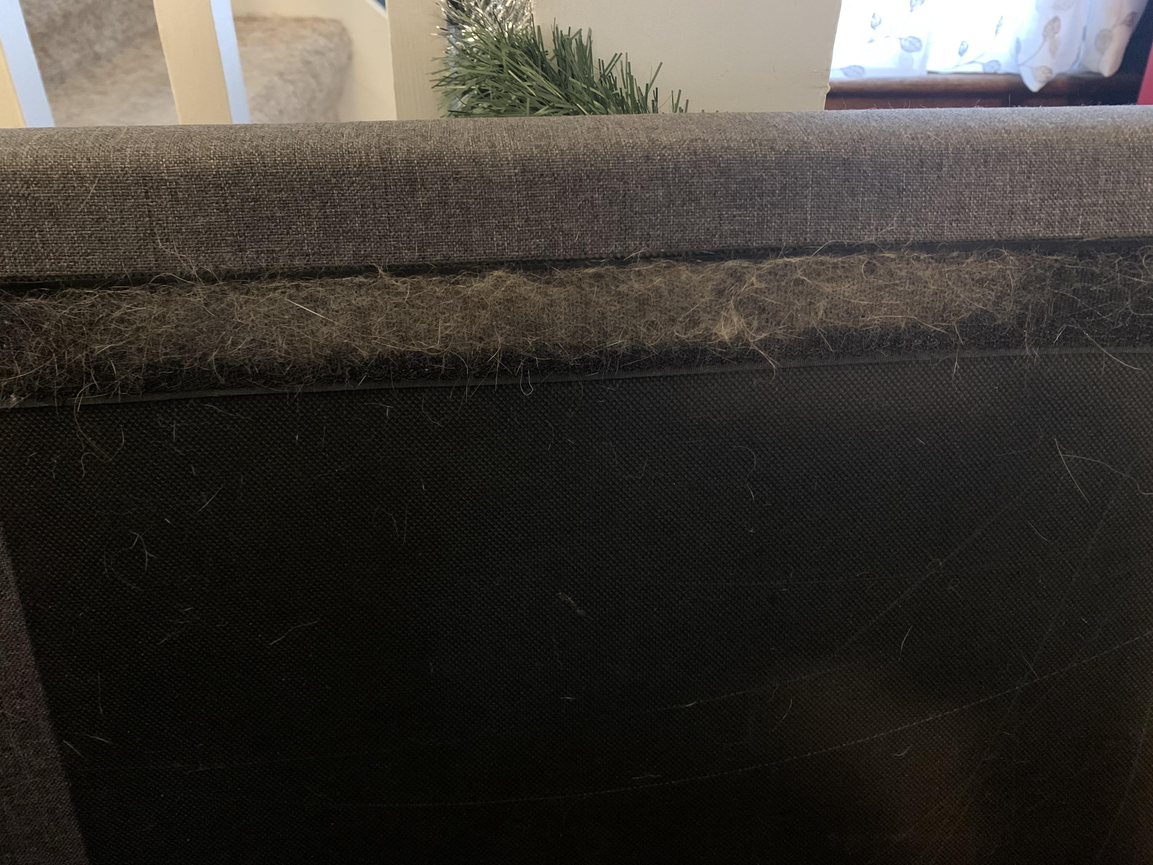 Best way to remove pet hair from furniture Velcro? It’s where the chair