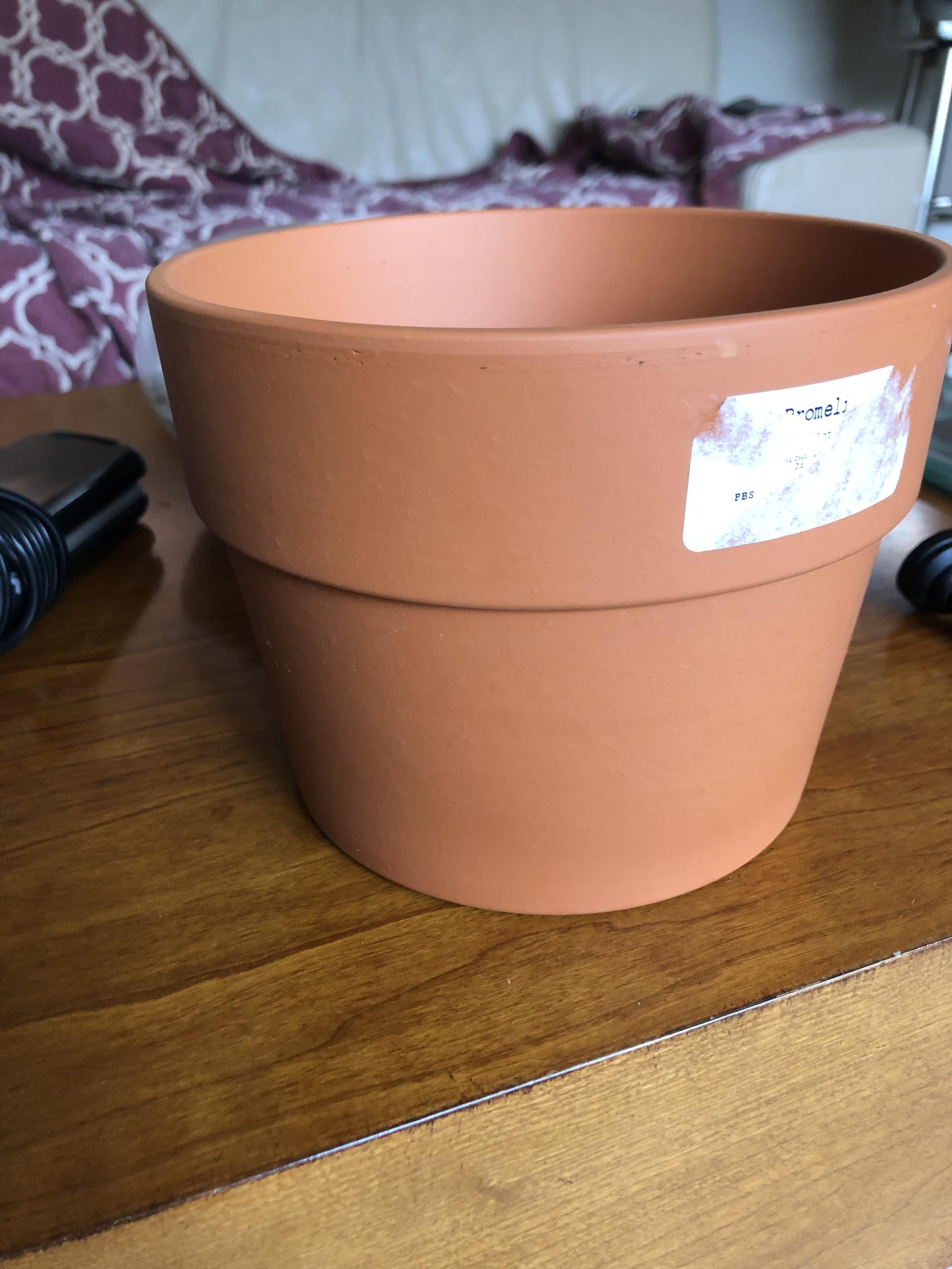 Repurposing an old terracotta pot? More info in comments! r/Aquariums