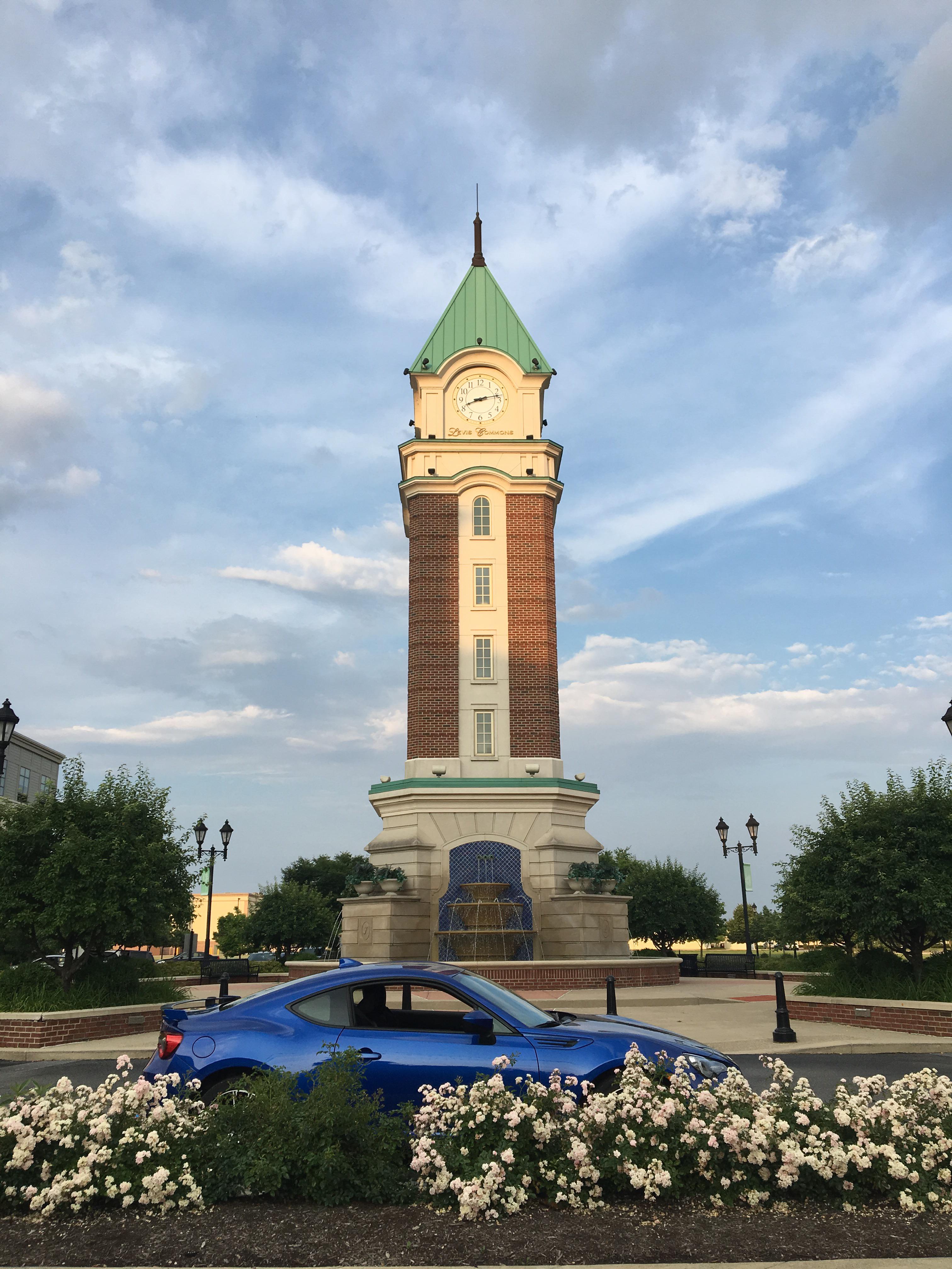 Towers & Flowers r/ft86