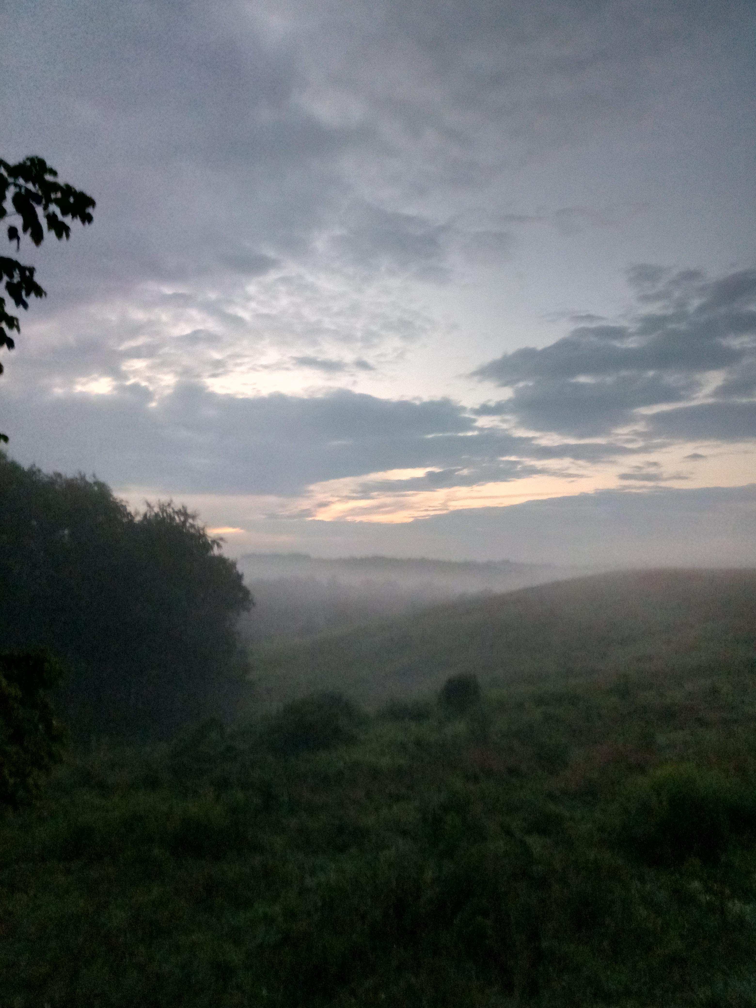 A foggy morning in beautiful west virginia... r/LandscapePhotography