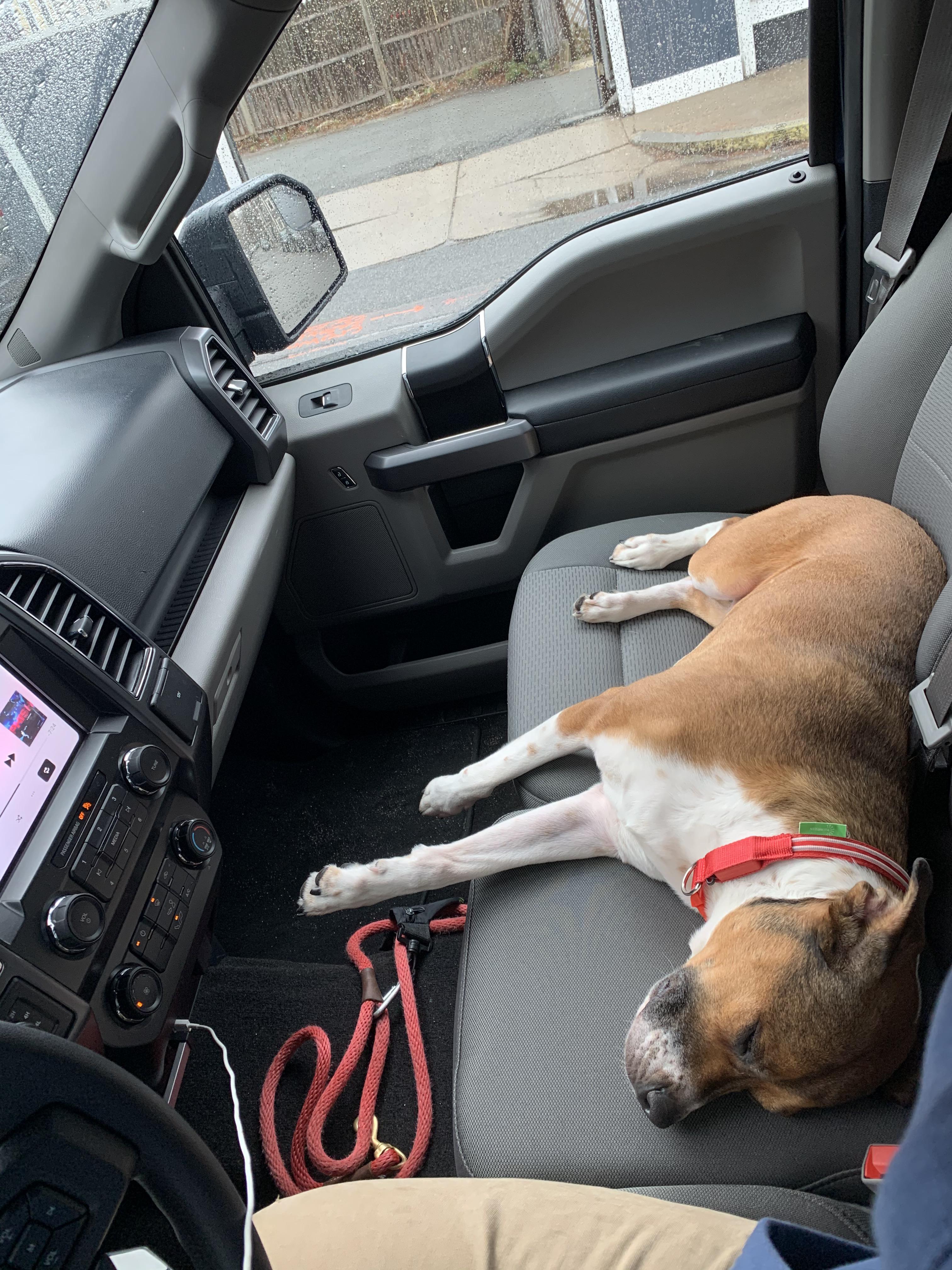 Why bench seats are the best Trucks