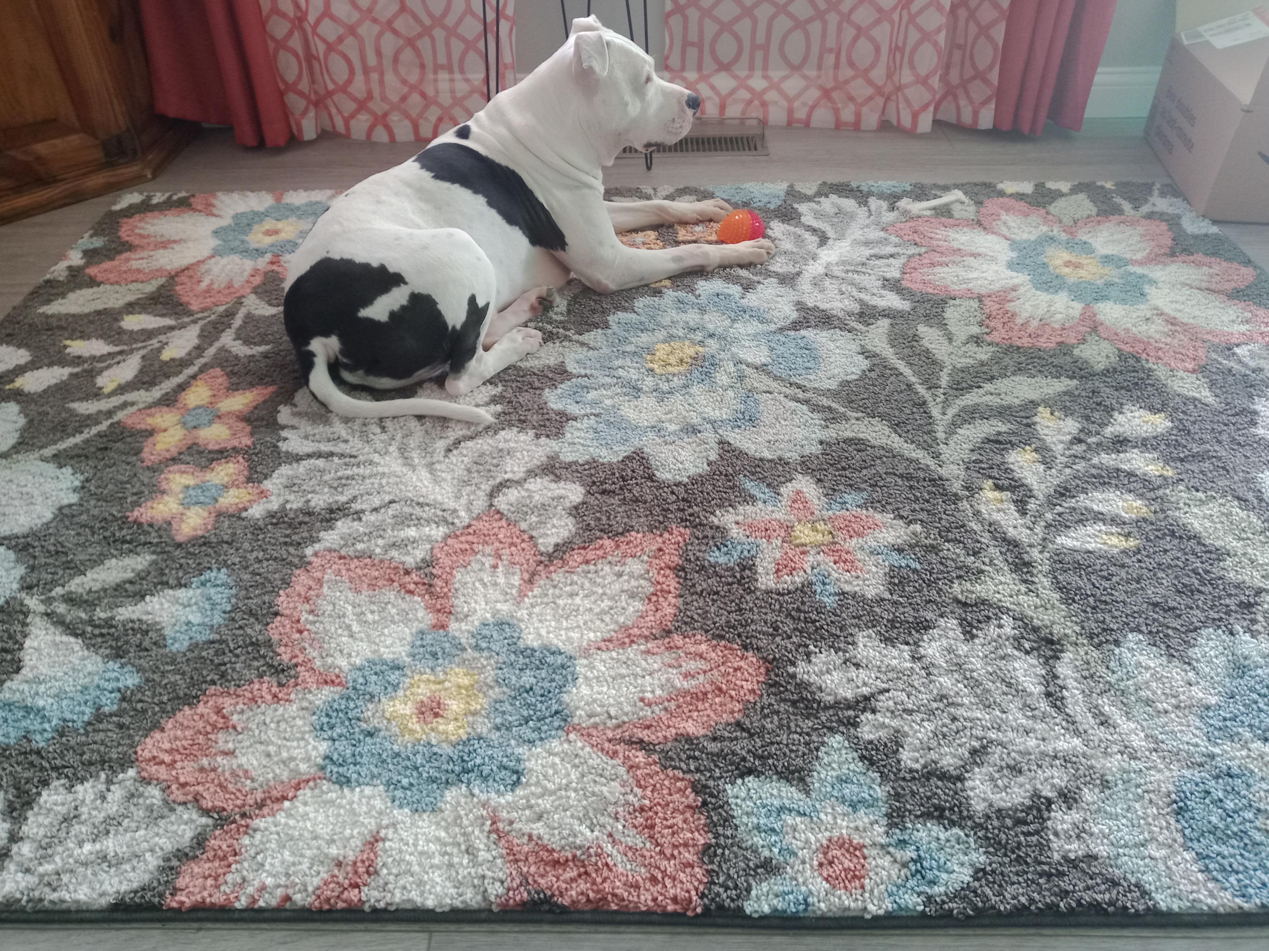 I love everything about this rug except my dog's nails get hung on the
