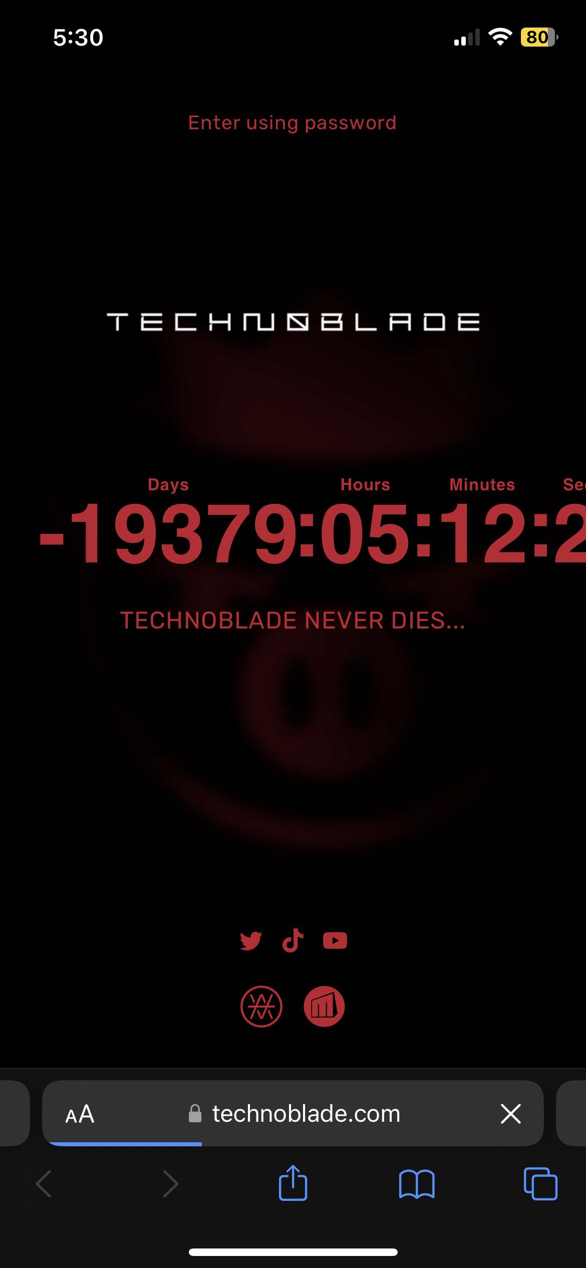 Anyone else see this on the merch website or is my phone being weird