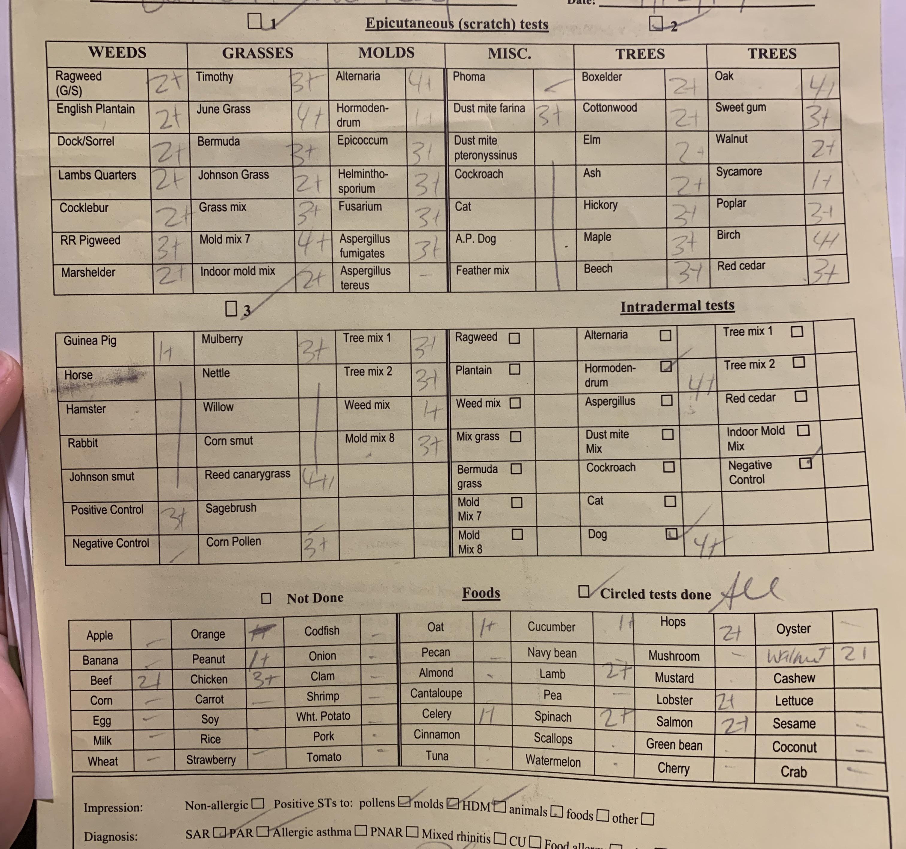 SKIN ALLERGY TEST RESULTS should I do the shots?? r/Allergies